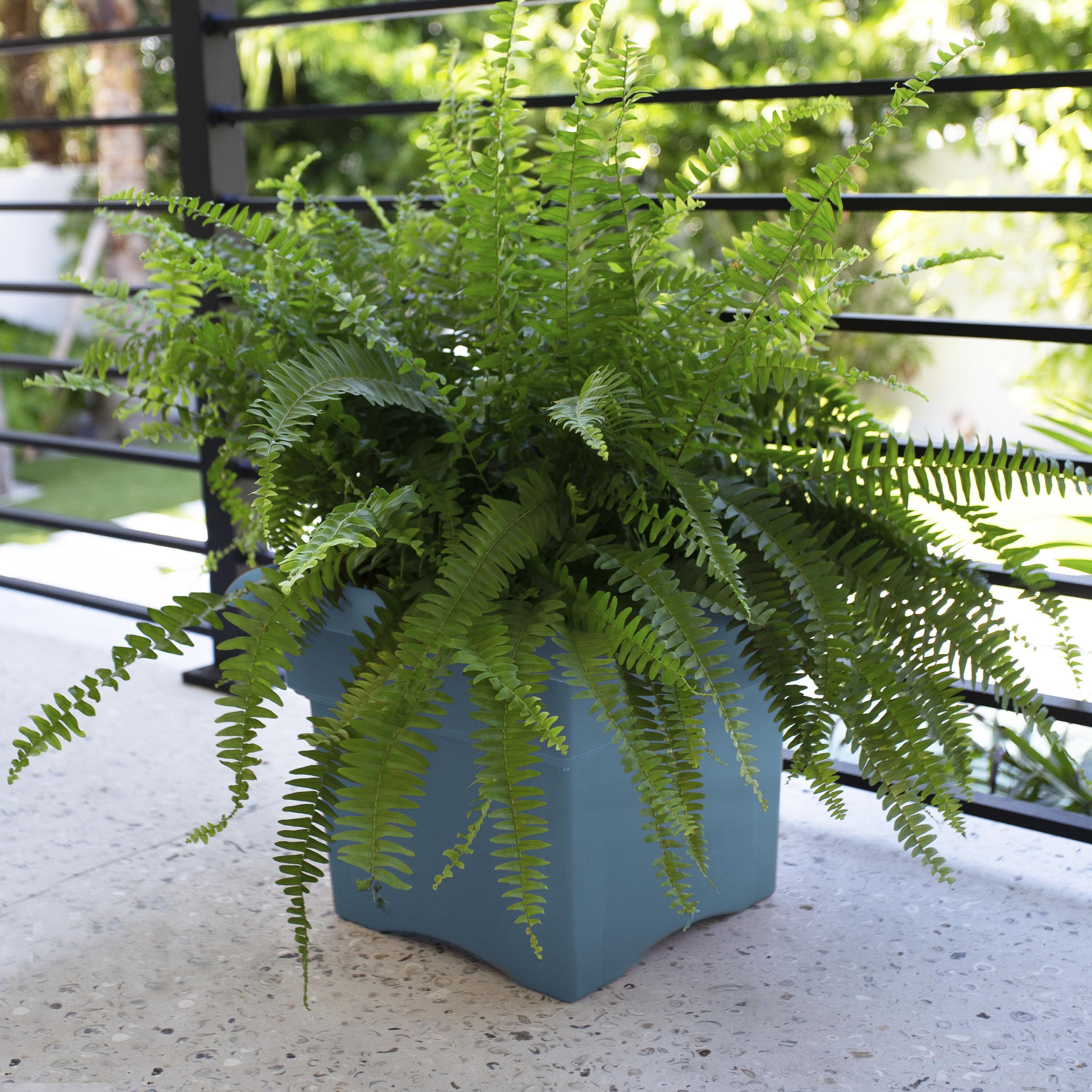 Bloem VER1471-OS Planter-Window-Box - View #4
