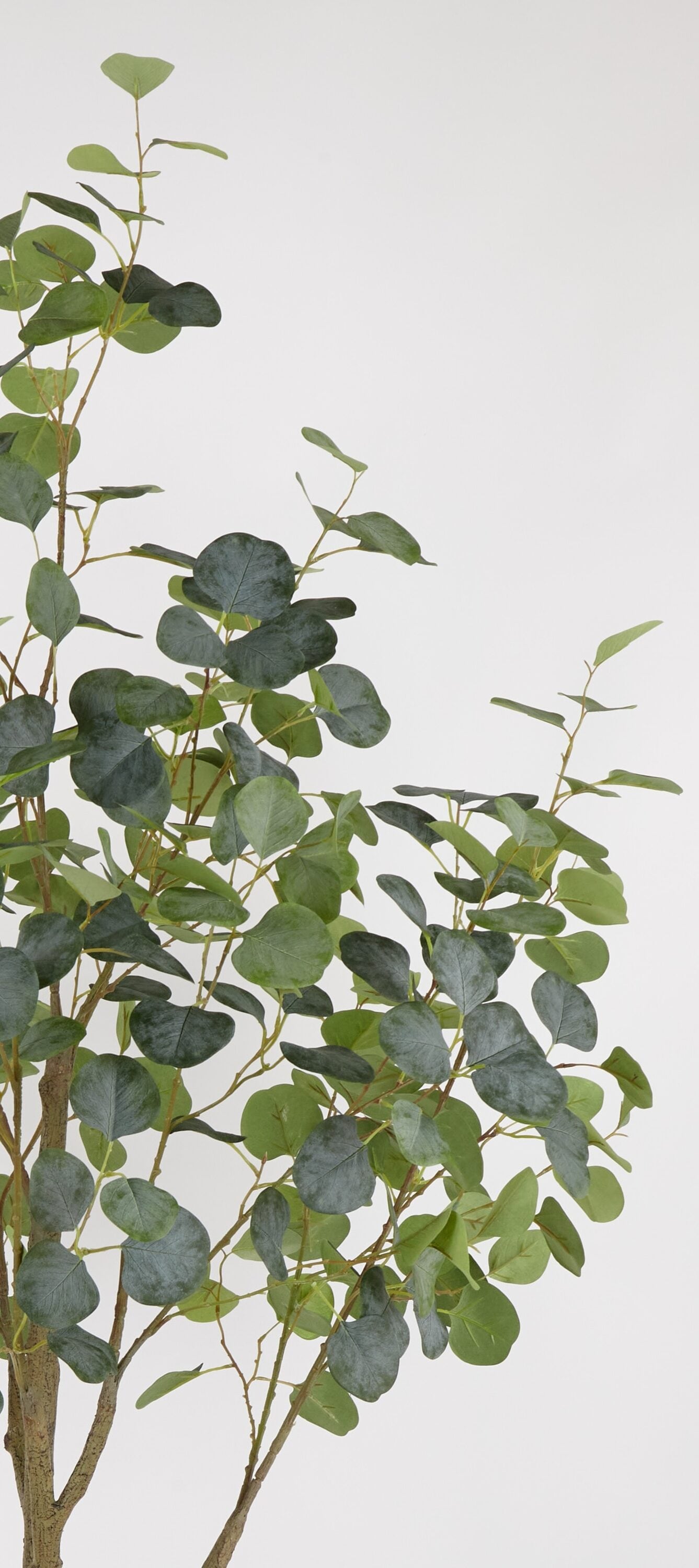 allen + roth 22LOW071 Artificial-Plants-Trees - View #4