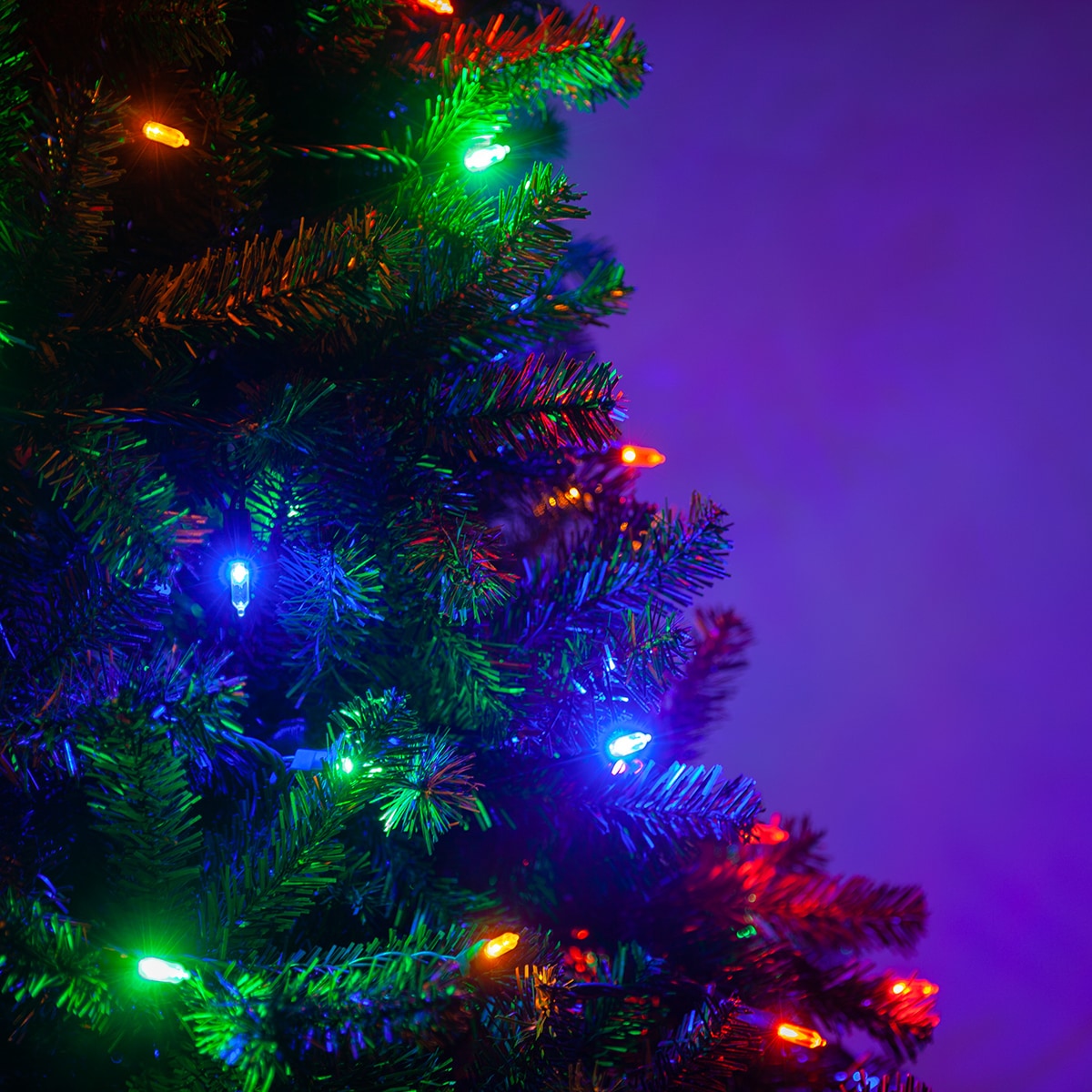 Wintergreen Lighting 82992 Christmas-String-Lights - View #6