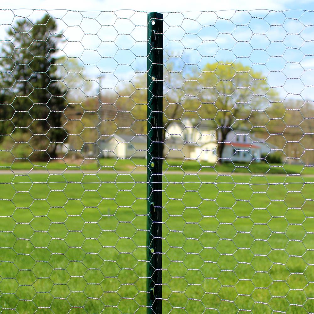 GARDEN CRAFT 50-ft x 2-ft Gray Steel Chicken Wire Rolled Fencing with Mesh  Size 1-in in the Rolled Fencing department at