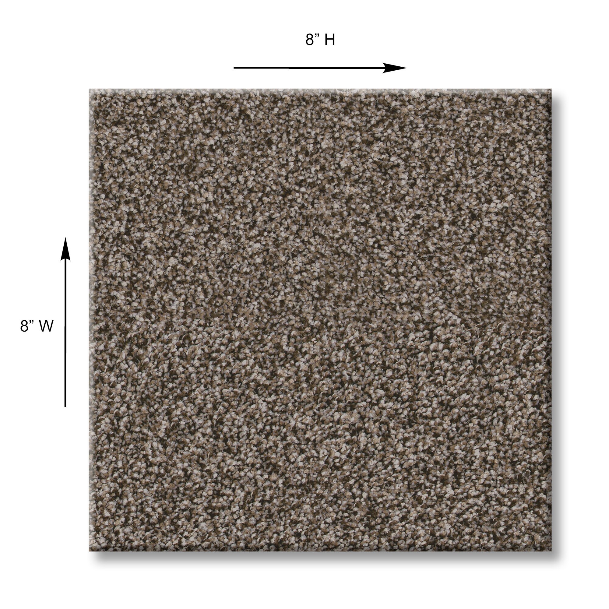 STAINMASTER PetProtect 7L931-765-SAMP Carpet-Samples - View #10