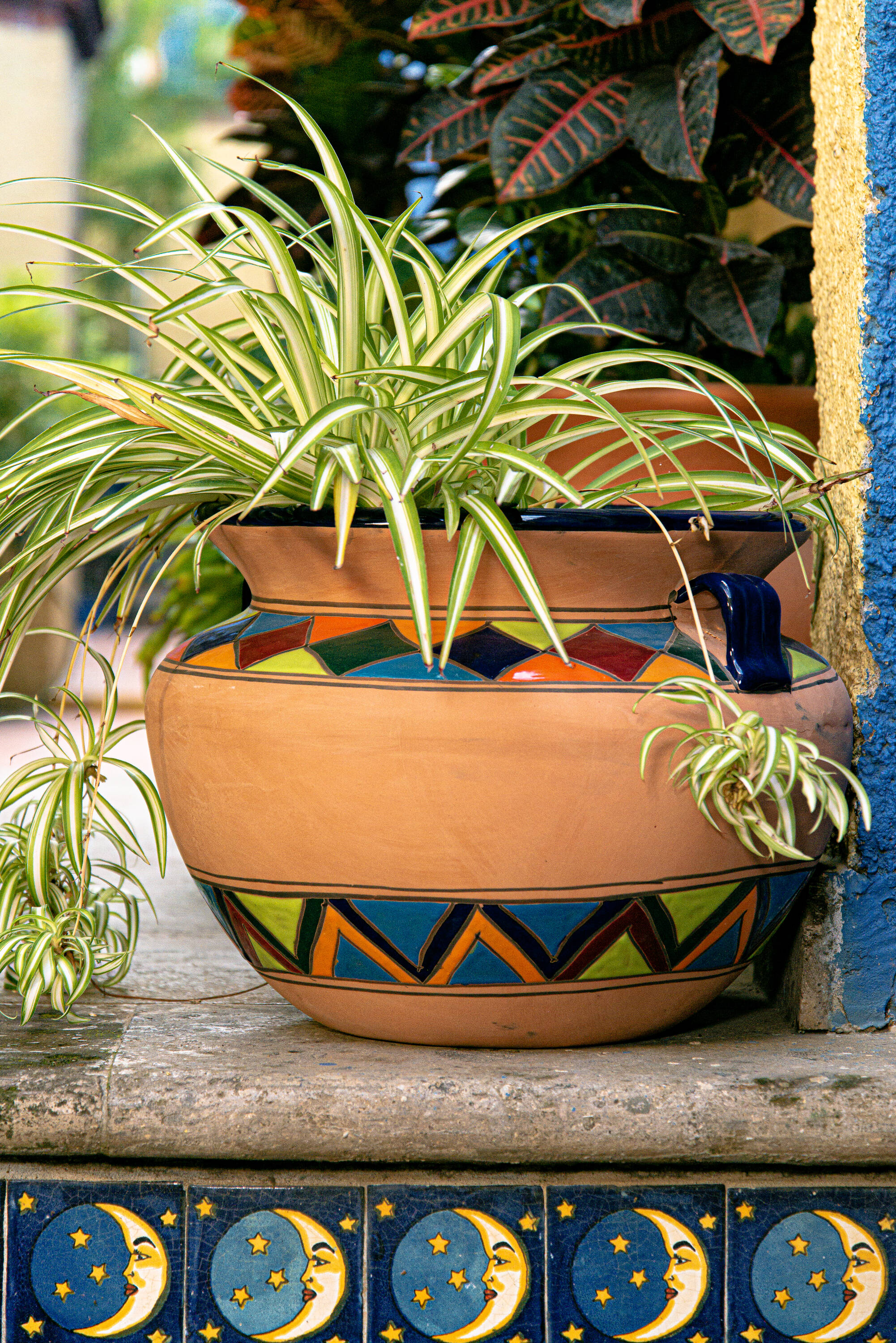 Evergreen 2CG823 Planter-Window-Box - View #3