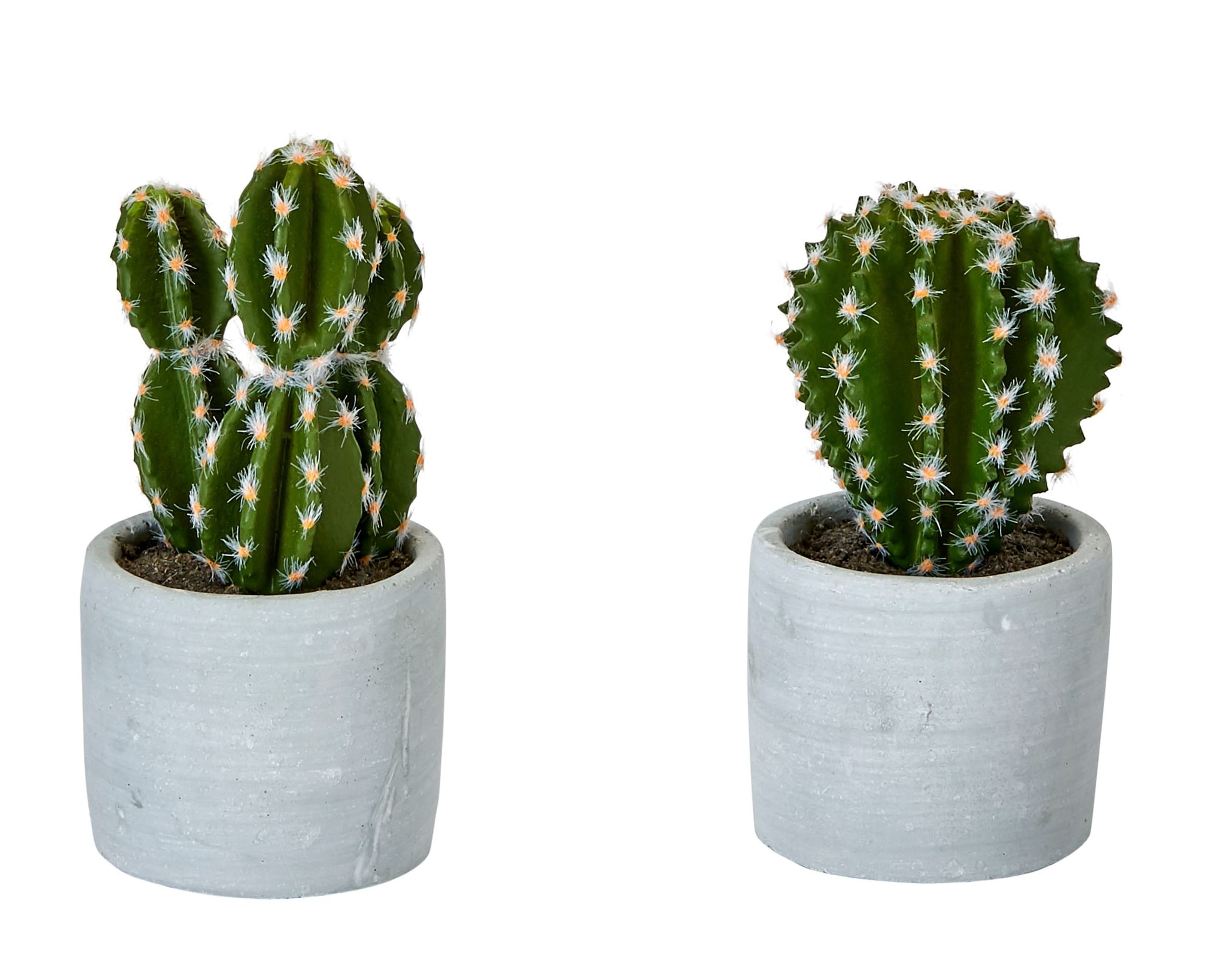 Worth Imports 1923 6-Inches Green Indoor Desktop Succulent Artificial plant