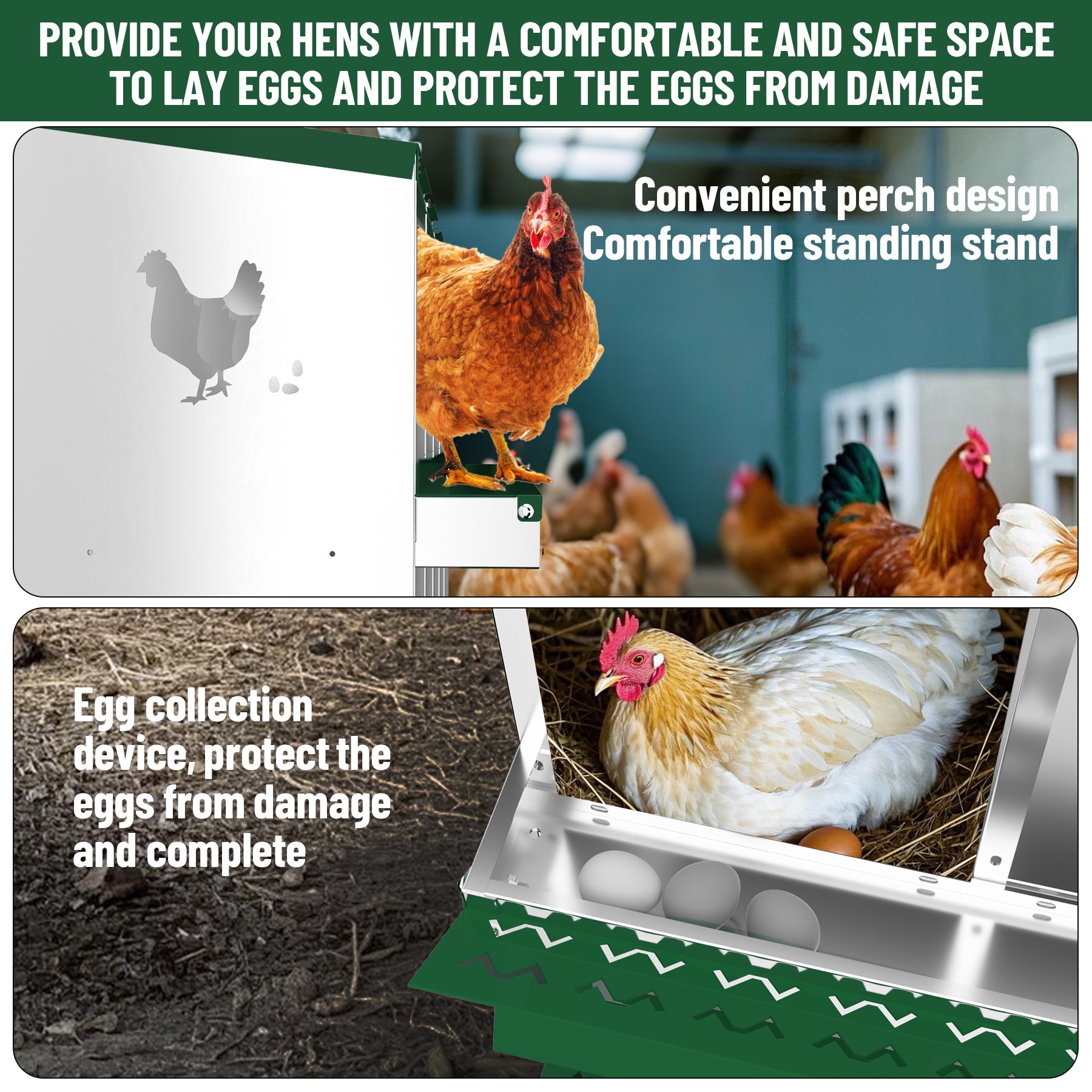 Assile BJPSBYIOF5W0ODJ Chicken-Coops-Rabbit-Hutches - View #3
