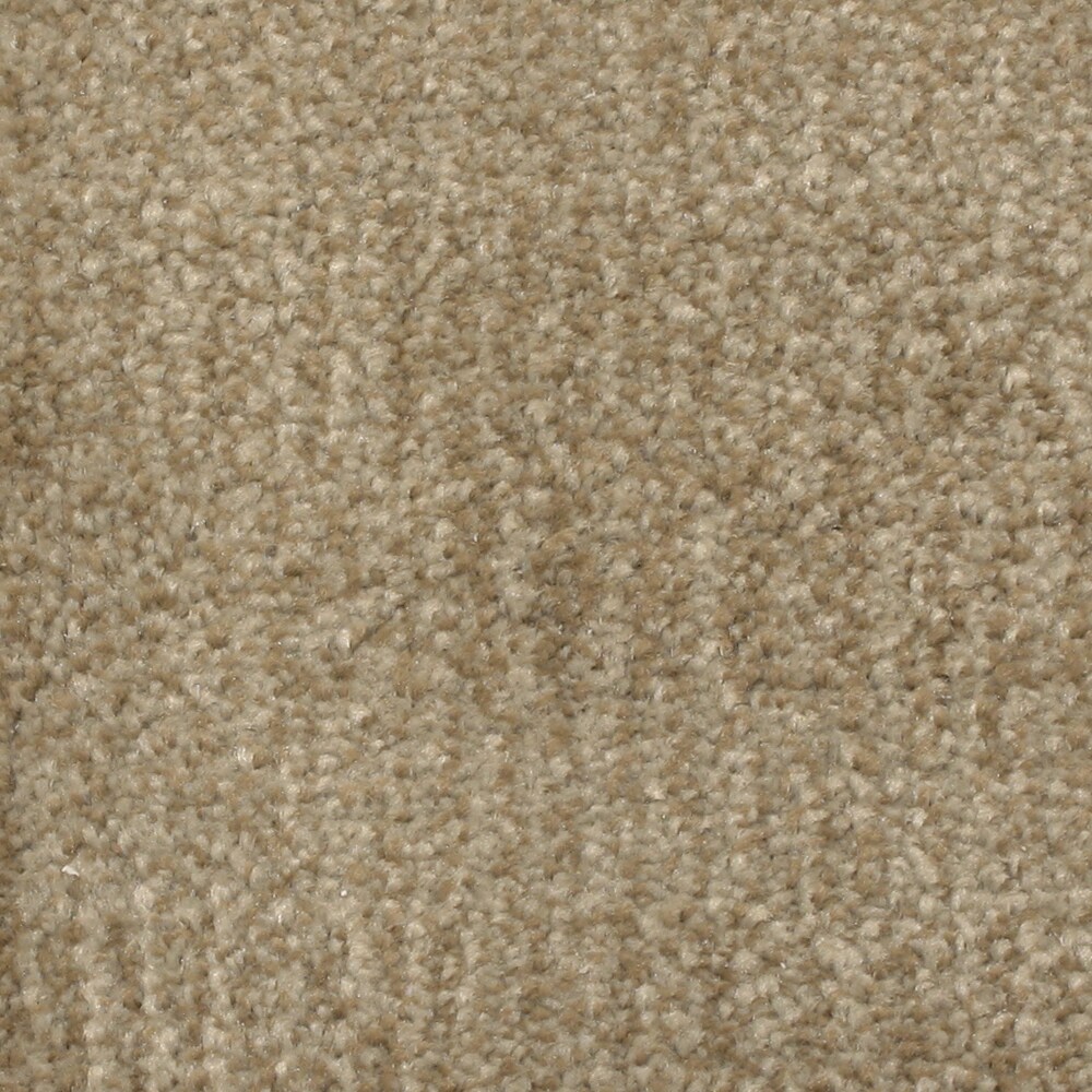 STAINMASTER PetProtect Pilot Point Inlet Pattern Carpet Sample (Indoor ...