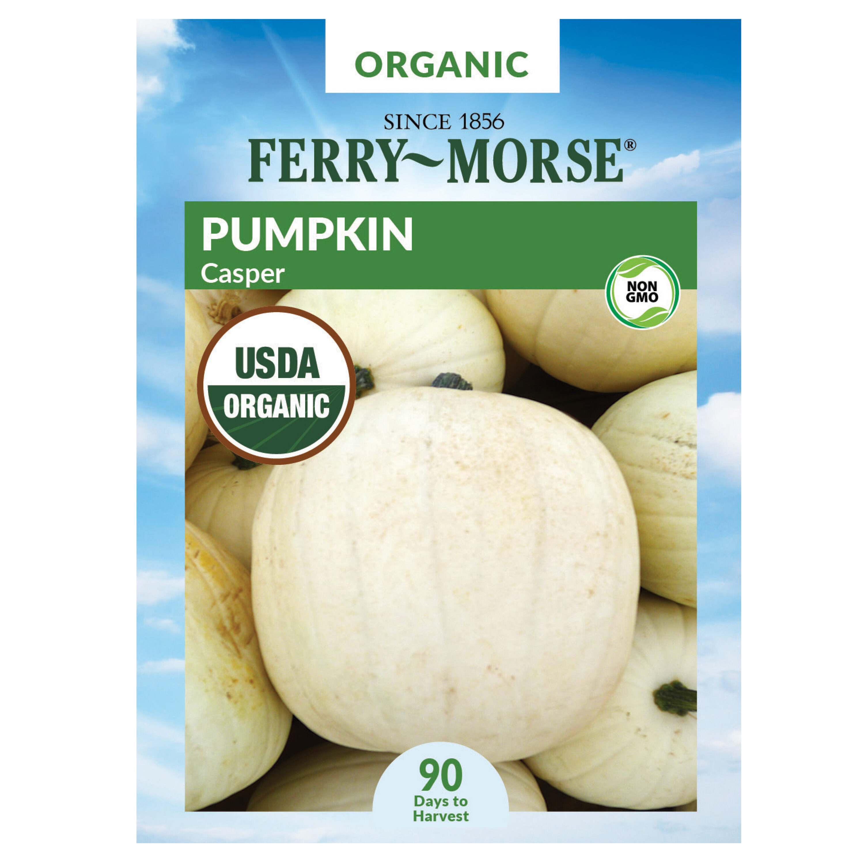 Ferry-Morse 914242.299.644170 Organic Pumpkin Casper Organic Vegetable Seeds 2.5 Gram(s)