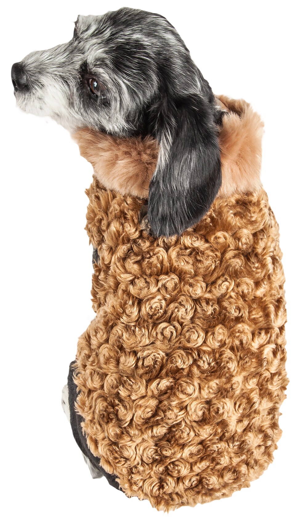 Pet Life Brown Dog/Cat Coat Extra Small in the Pet Clothing department at