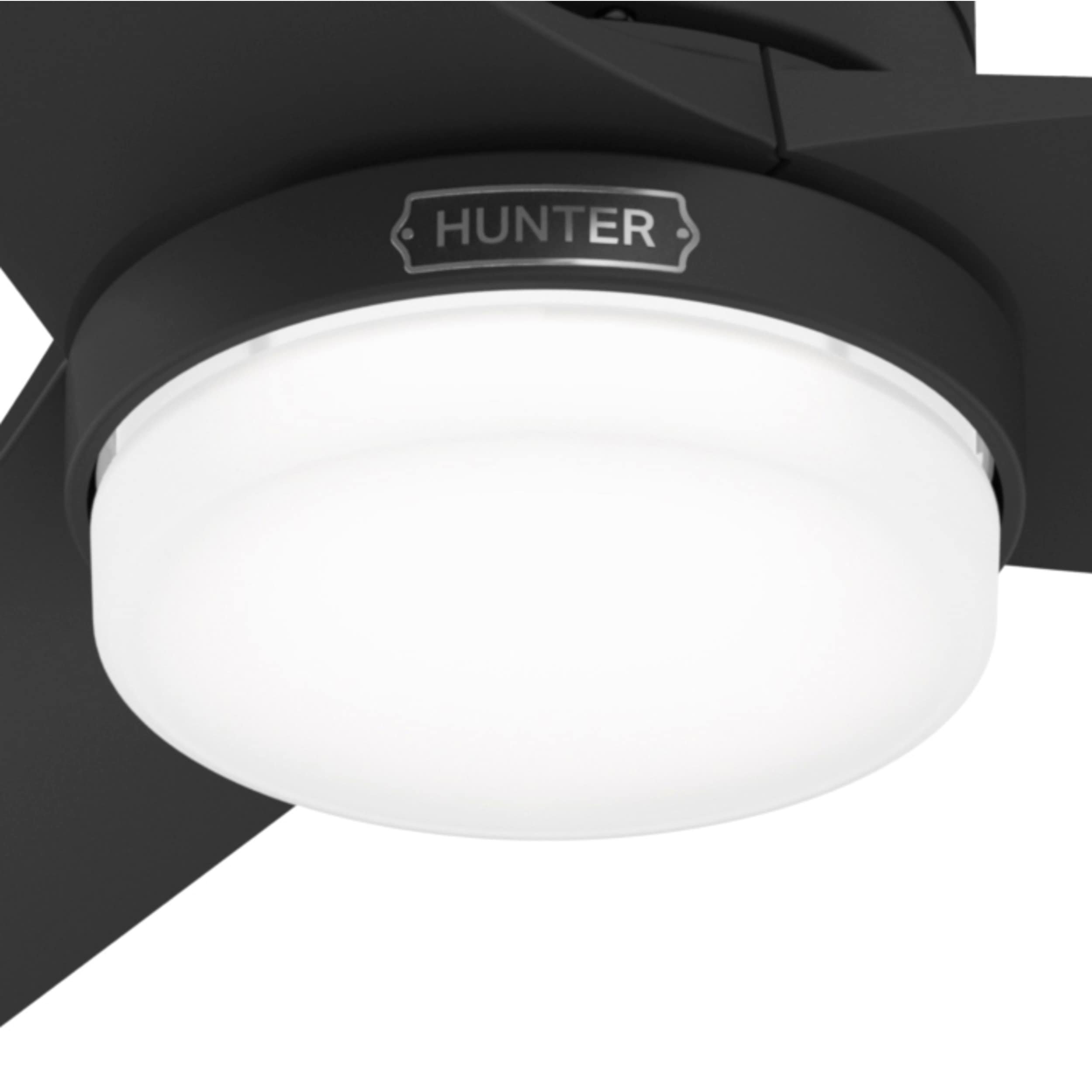 Hunter 52360 Ceiling-Fans - View #13
