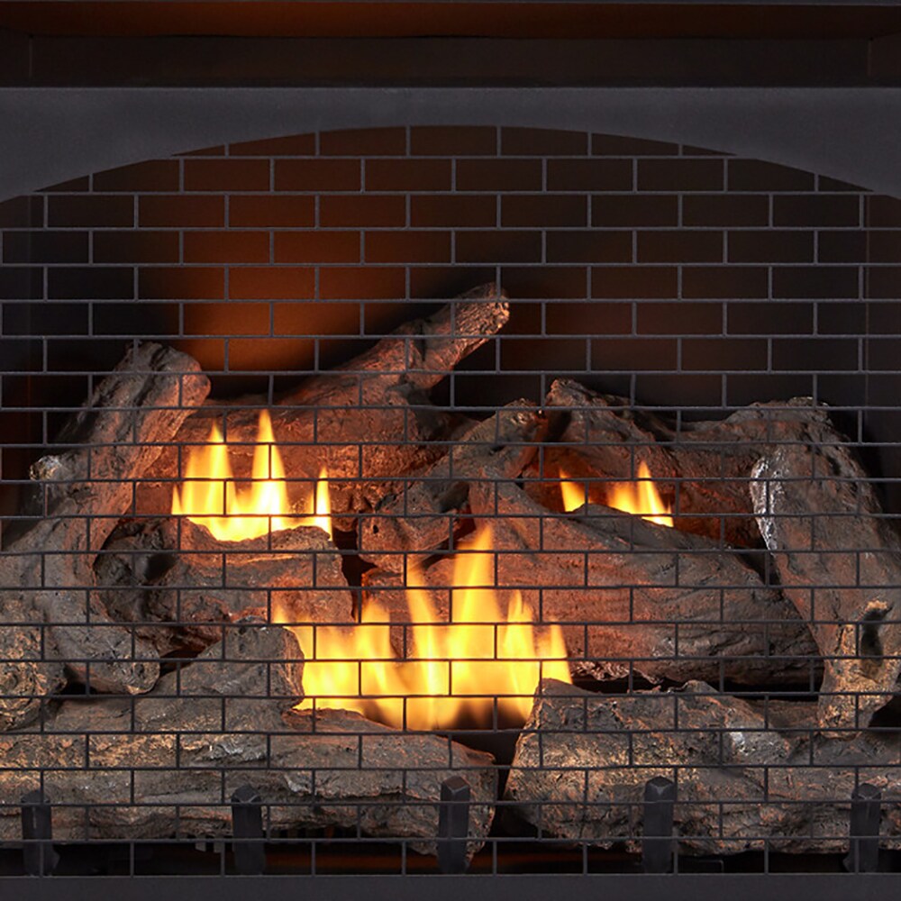 ProCom FBNSD32RT Gas-Fireplace-Fireboxes - View #5