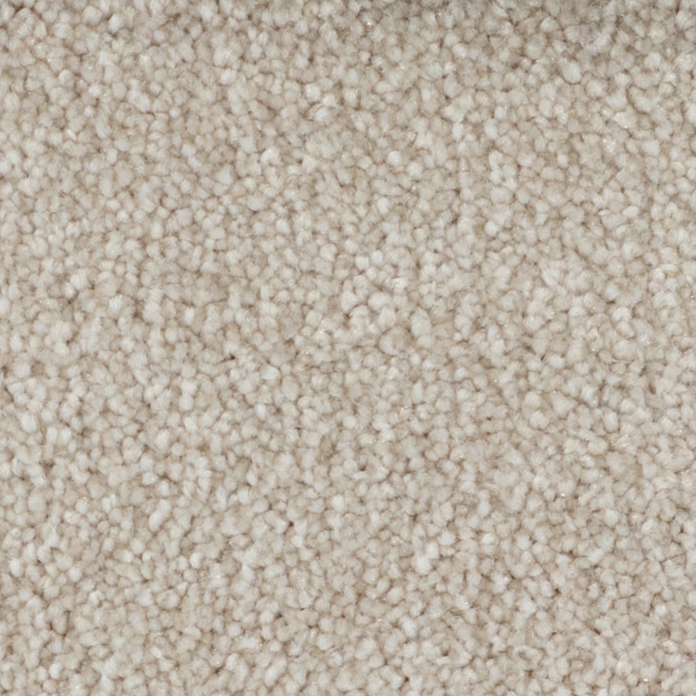 STAINMASTER Beatitude Soft Words Plush Indoor Carpet in the Carpet