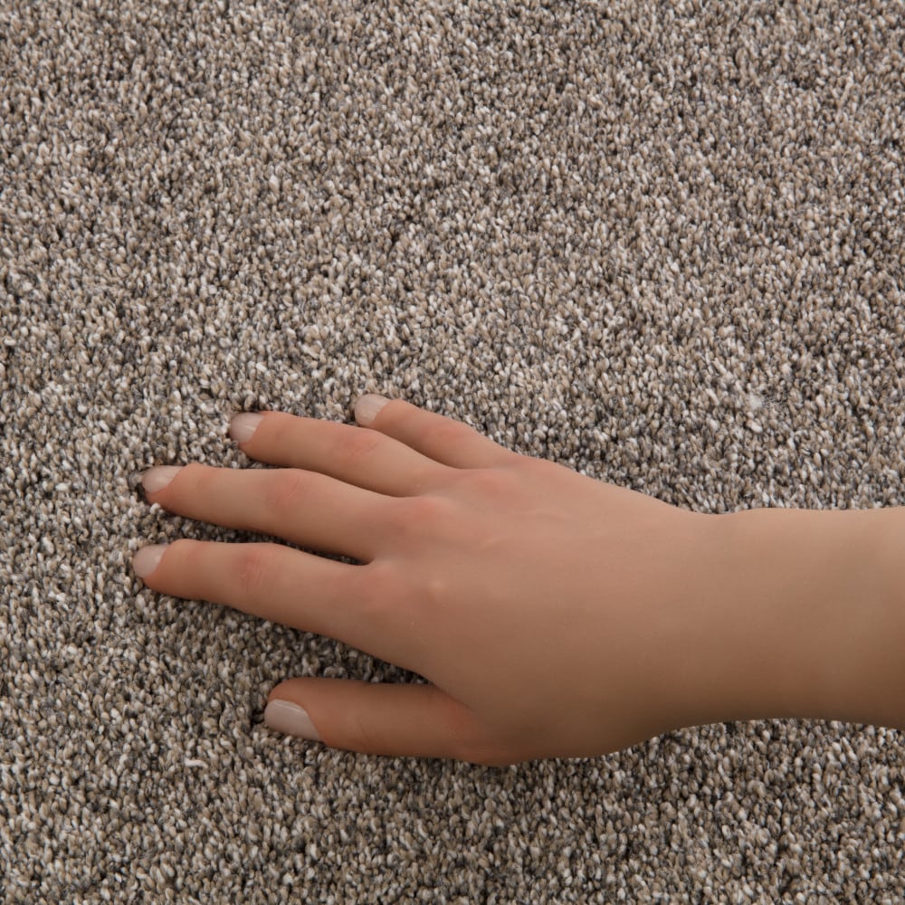 STAINMASTER PetProtect 7L94100148 Carpet-Panel - View #4