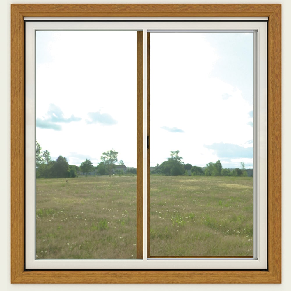 LARSON I200363253 Storm-Windows - View #2