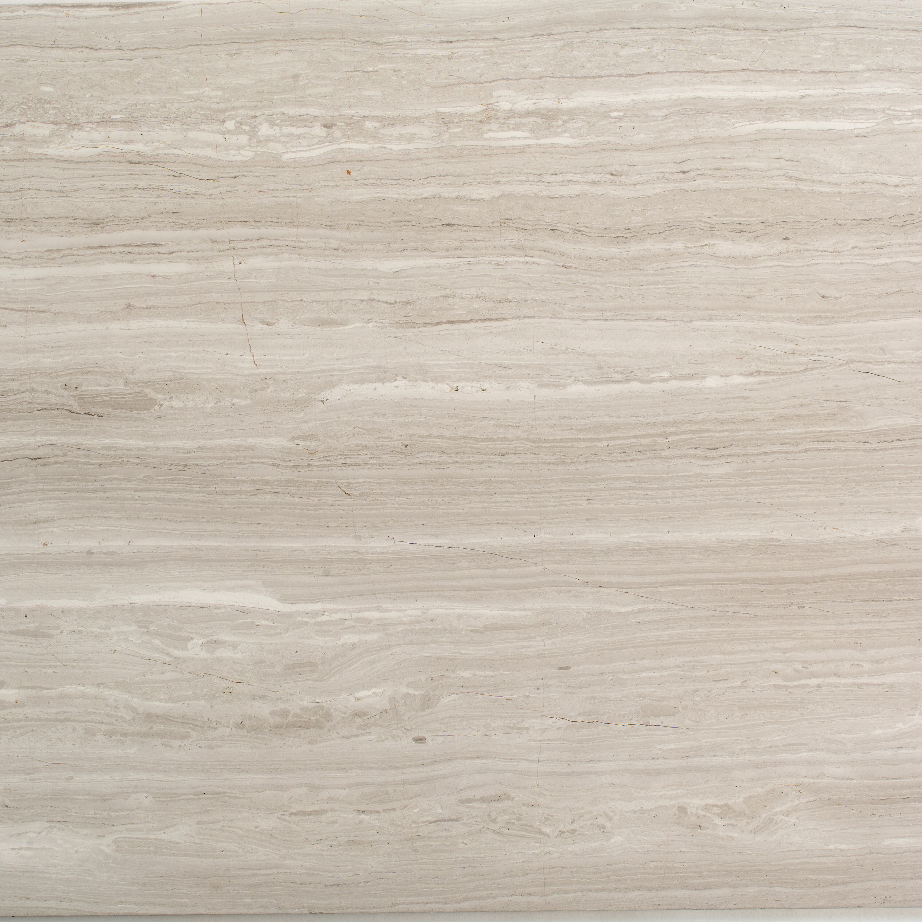 Gray 12" x 24" Honed Marble Look Wall & Floor Tile