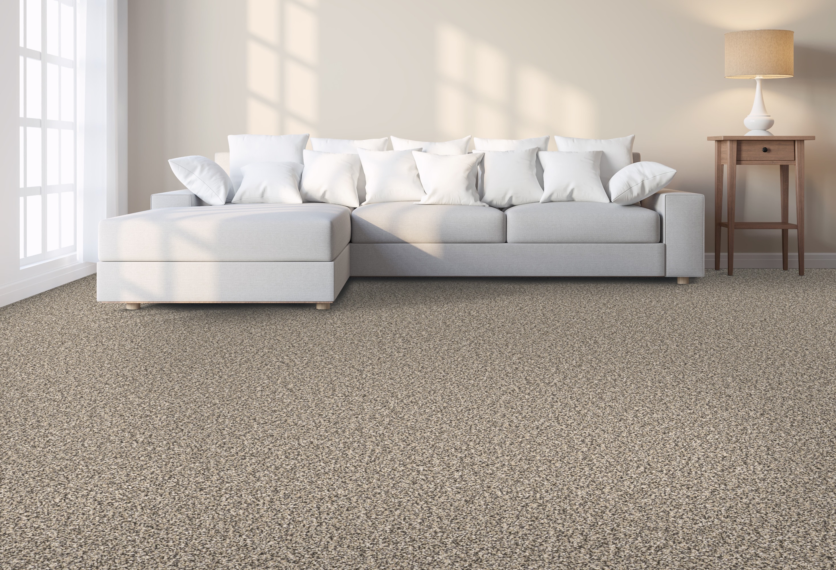 STAINMASTER PetProtect 7L931-120-SAMP Carpet-Samples - View #2