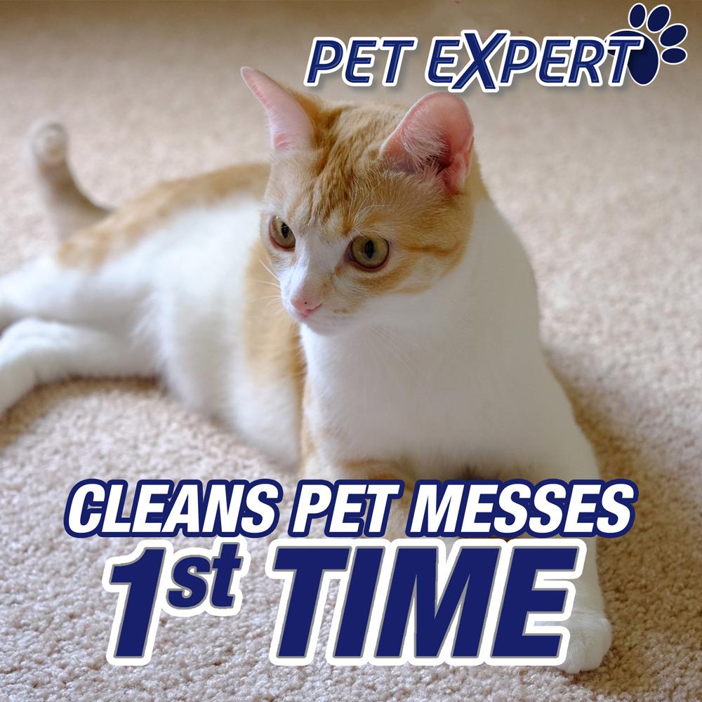 Resolve 22 oz. Easy Clean Pet Expert Foam Carpet Cleaning System  19200-03894 - The Home Depot