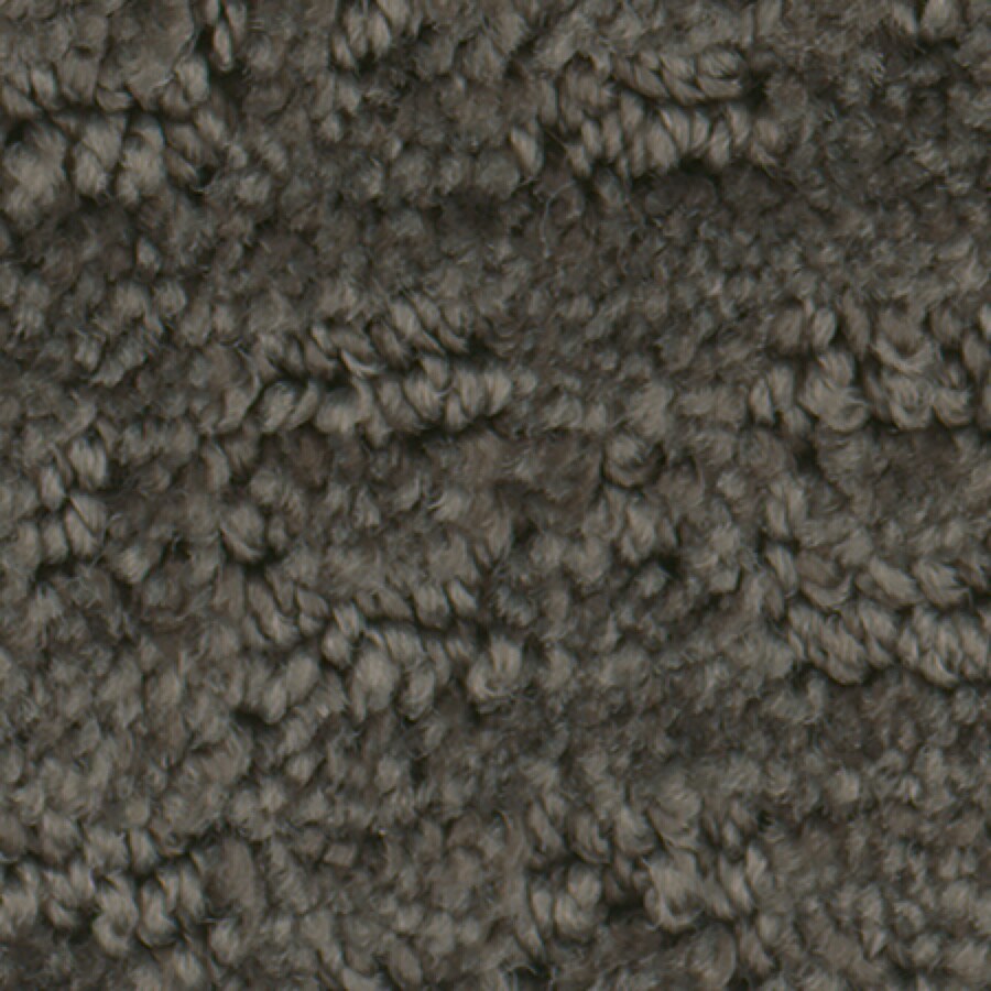 STAINMASTER 7L70900703 Active Family with LifeGuard Splash Town Espresso Pattern Interior Carpet