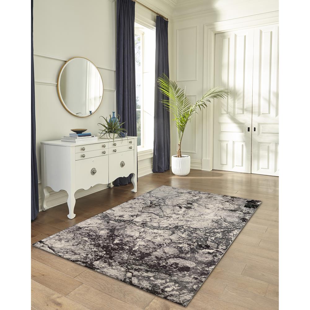 Liora Manne TSA91858347 rugs - View #8