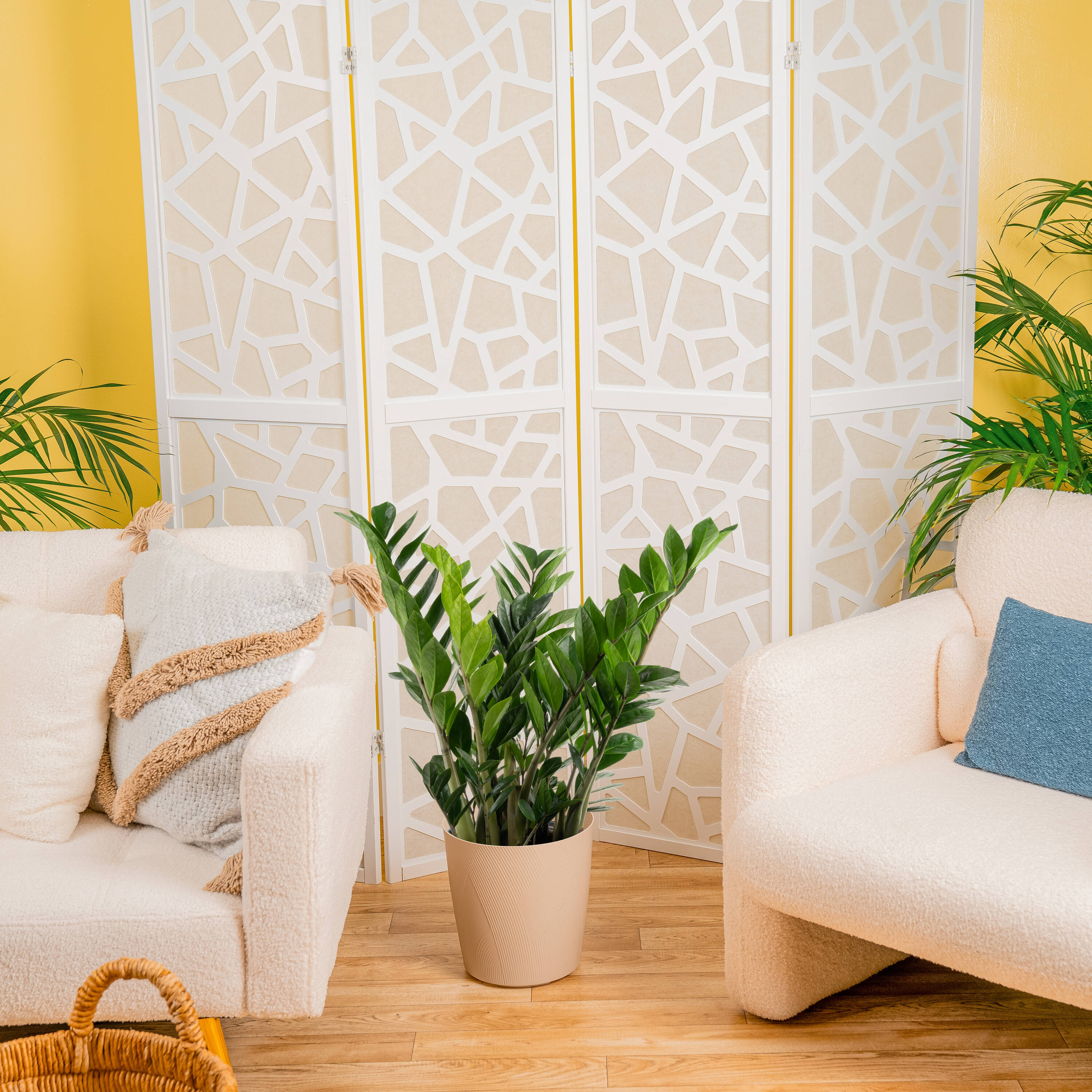 Lowe's 5021811 hseplants - View #4