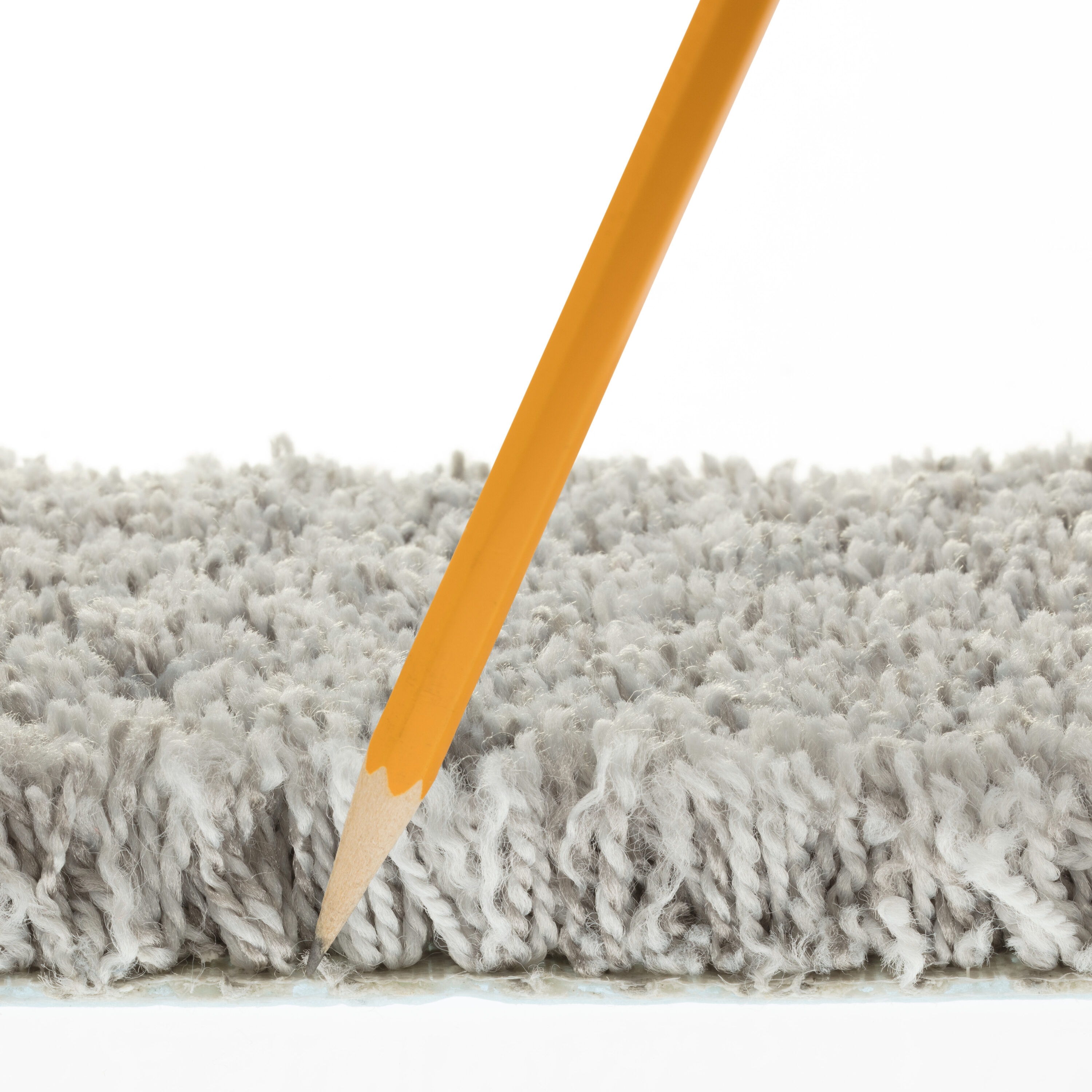 STAINMASTER 7L886 - 500 - SAMP Carpet-Samples - View #5
