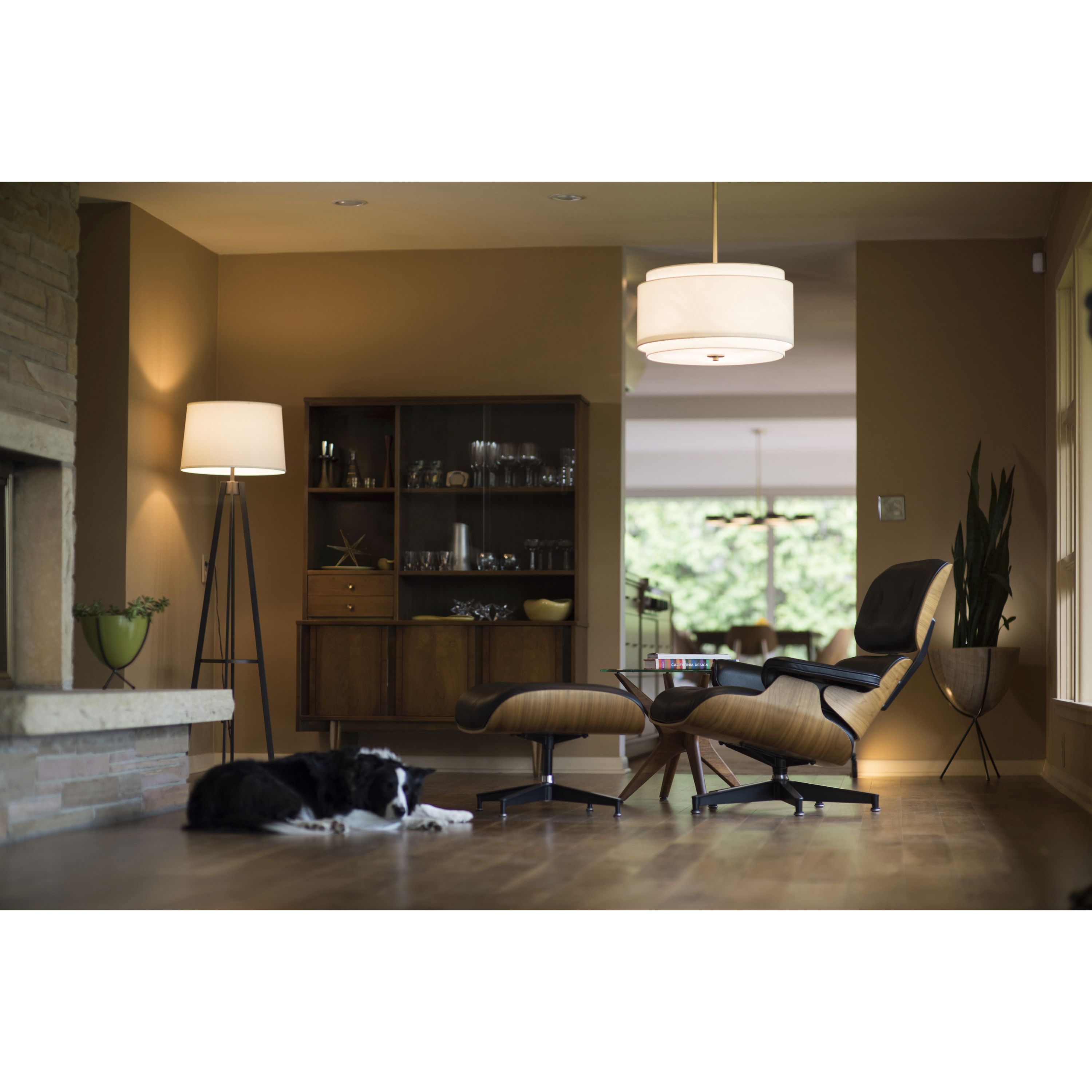 Cascadia P0192 Pendant-Lights - View #7