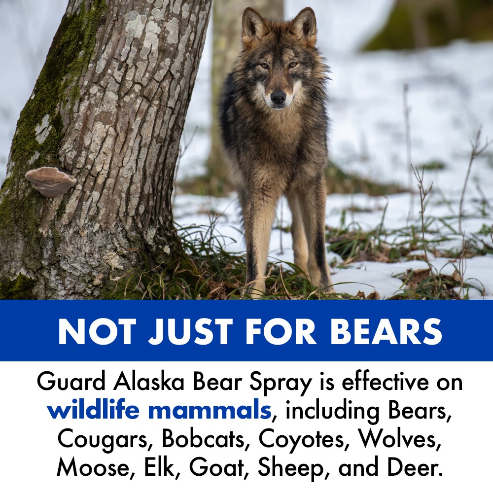 MACE Guard Alaska Bear Spray By Mace Brand in the Pepper Spray department  at