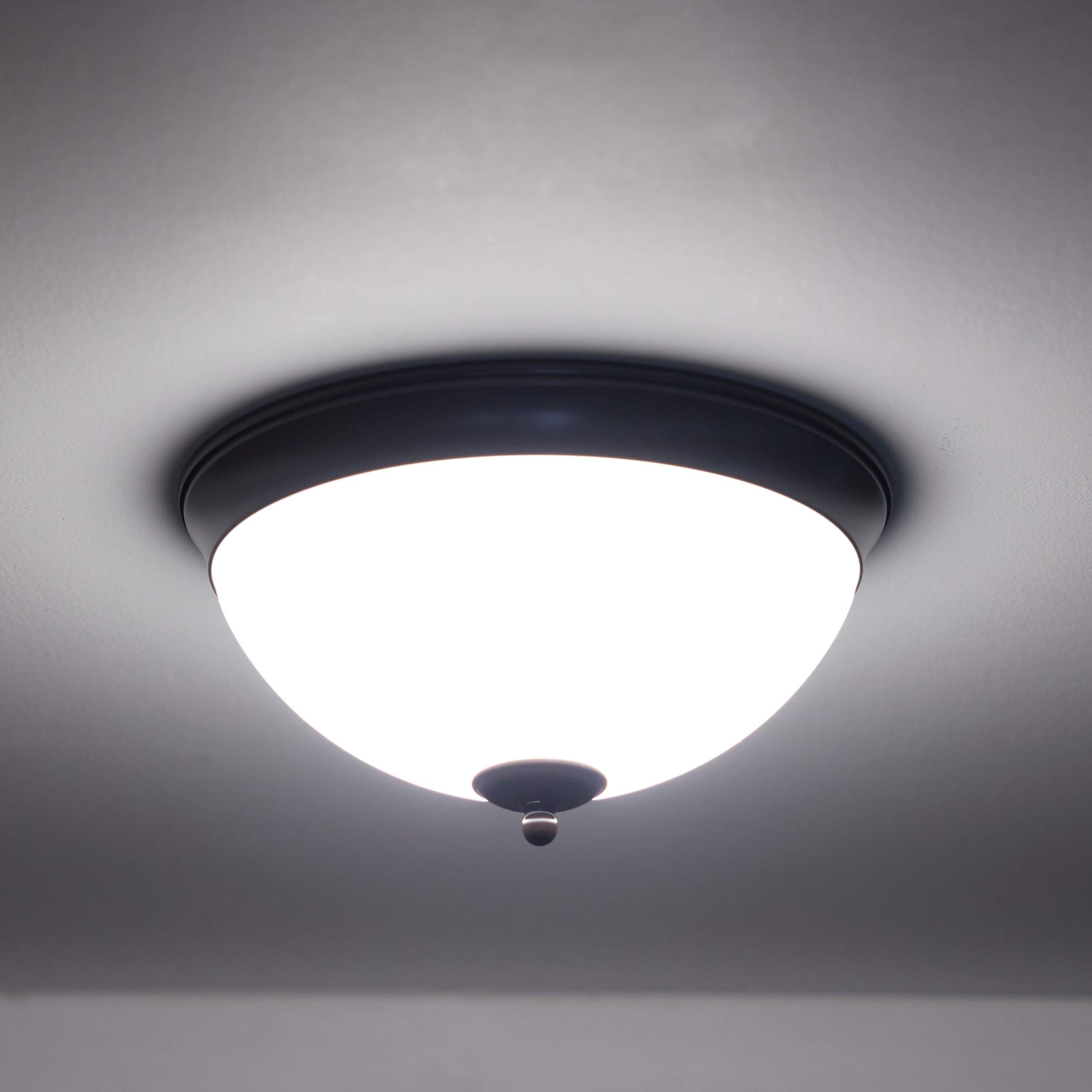 Project Source K9CFW Light-Shades - View #5