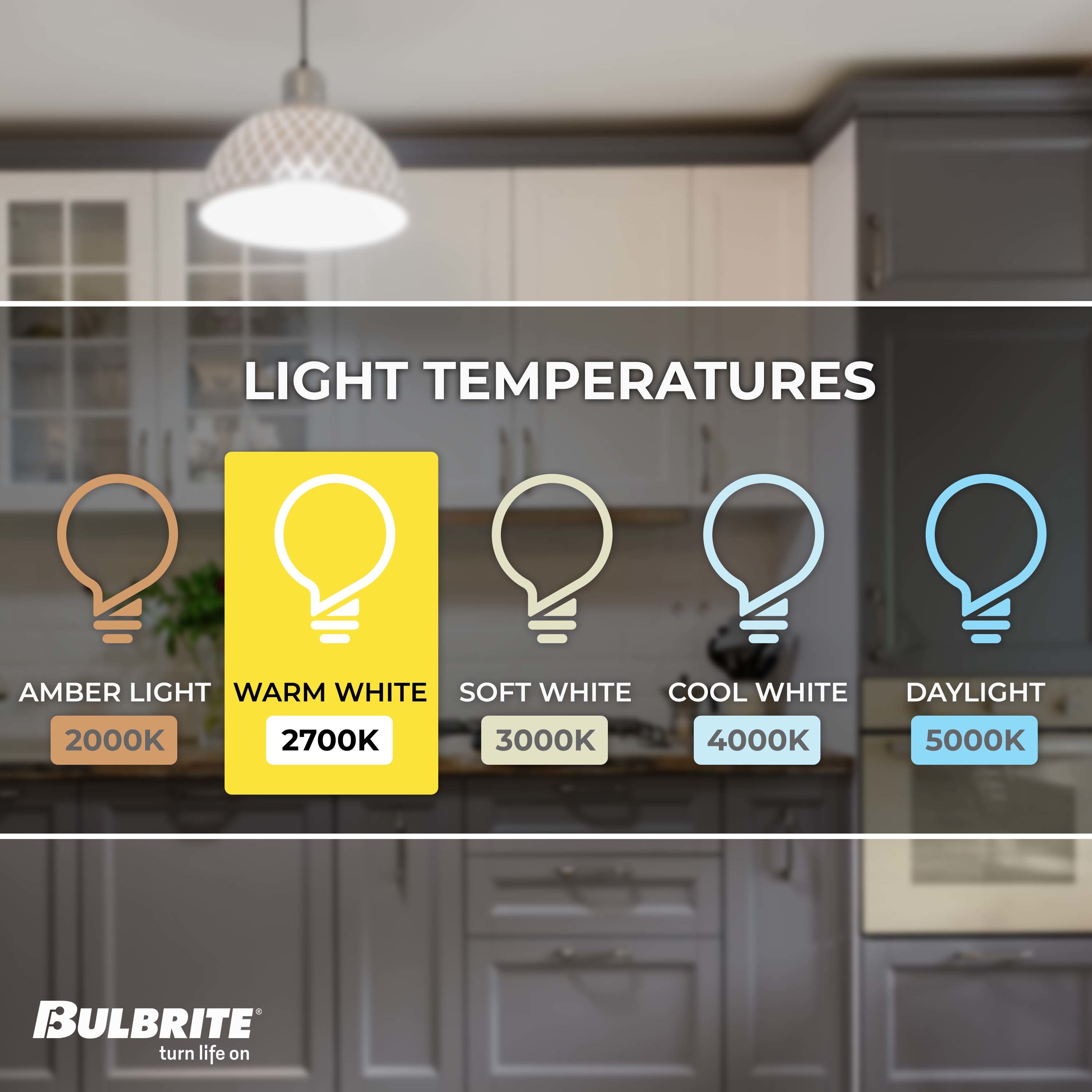 Bulbrite 11-Watt EQ S14 Warm White LED Light Bulb (6-Pack) in the ...