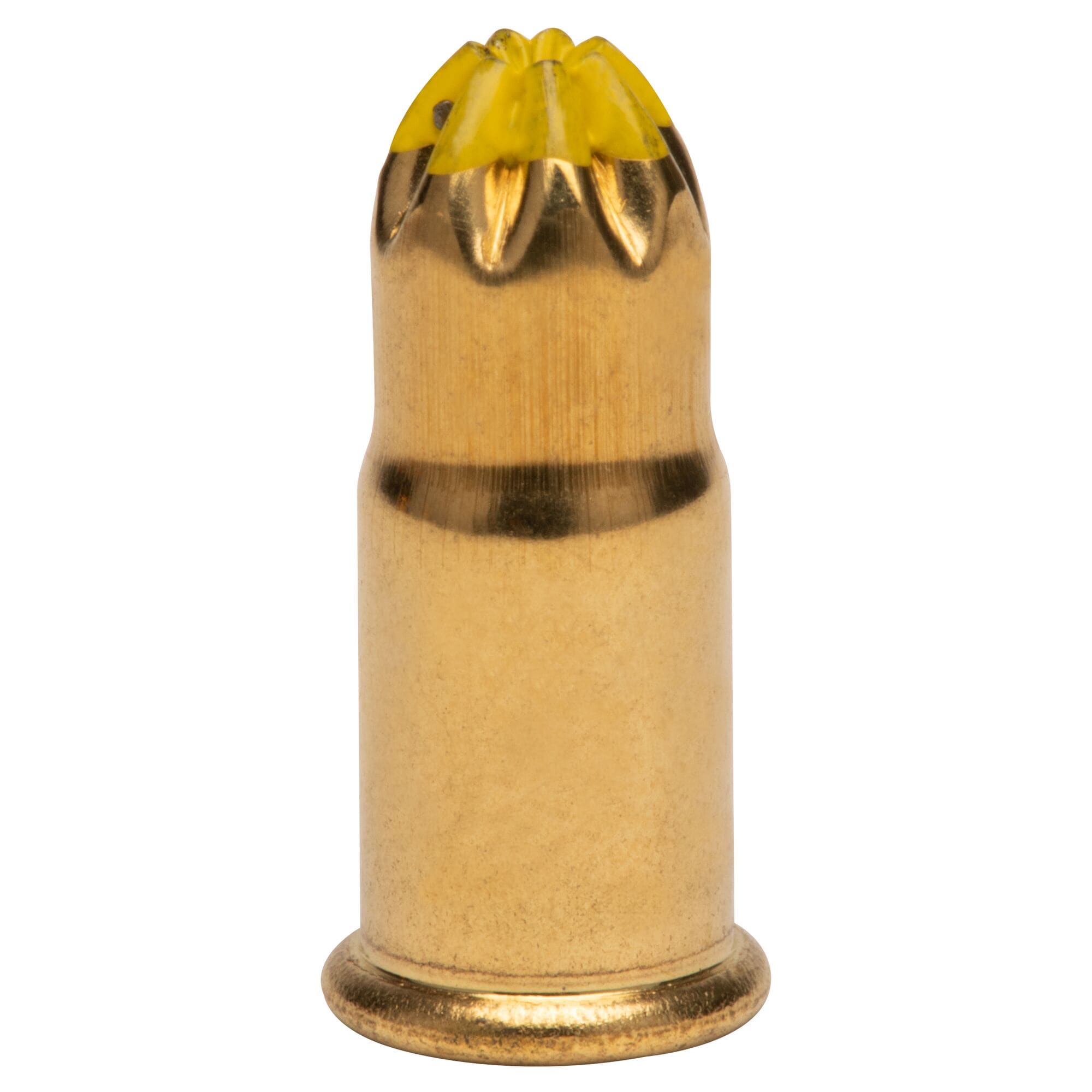 45 Caliber Brass Bullet License Plate Fasteners