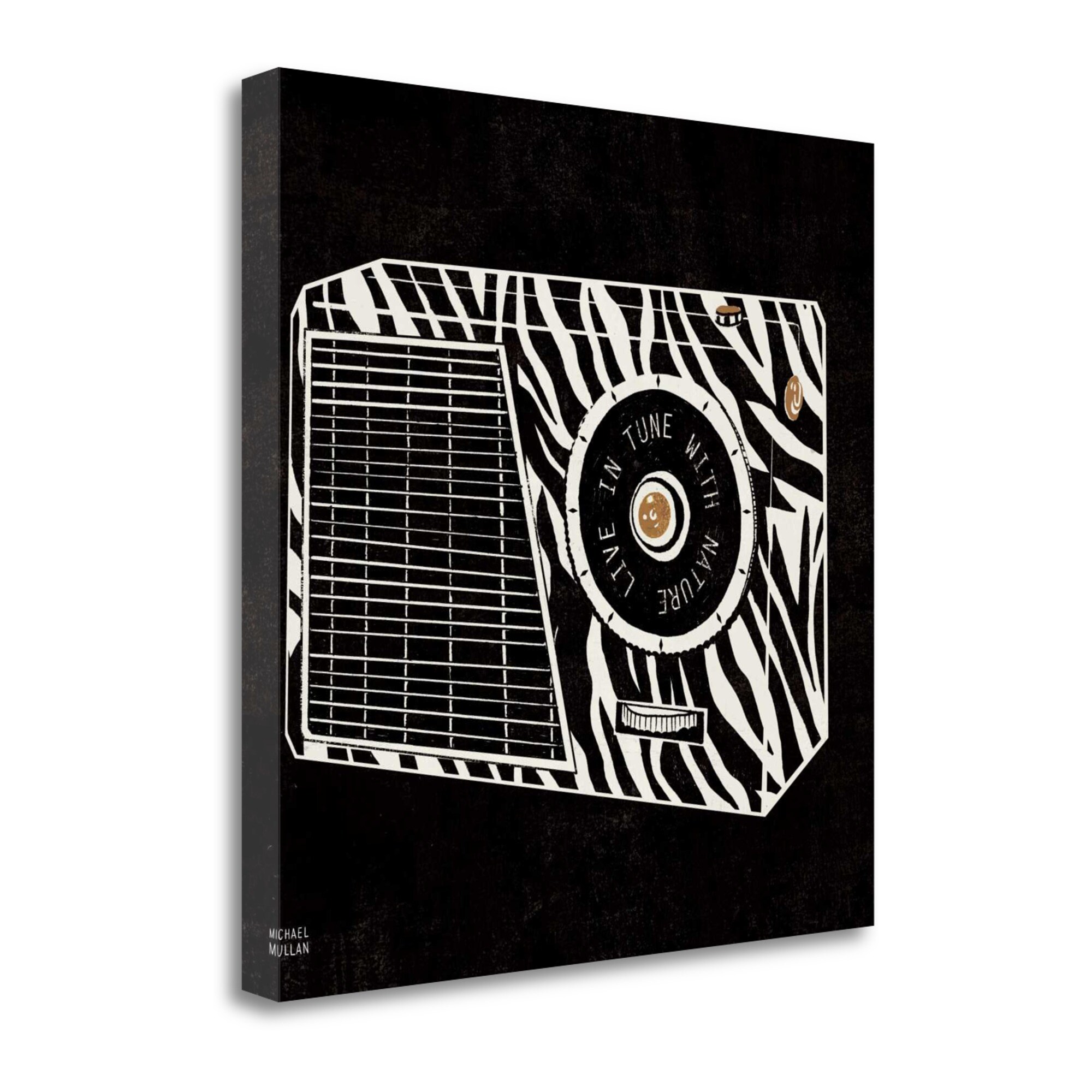 Tangletown Fine Art WA612378-2020C Analog Jungle Radio Michael Mullan 20-in H x 20-in W Vintage/Retro Print on Canvas