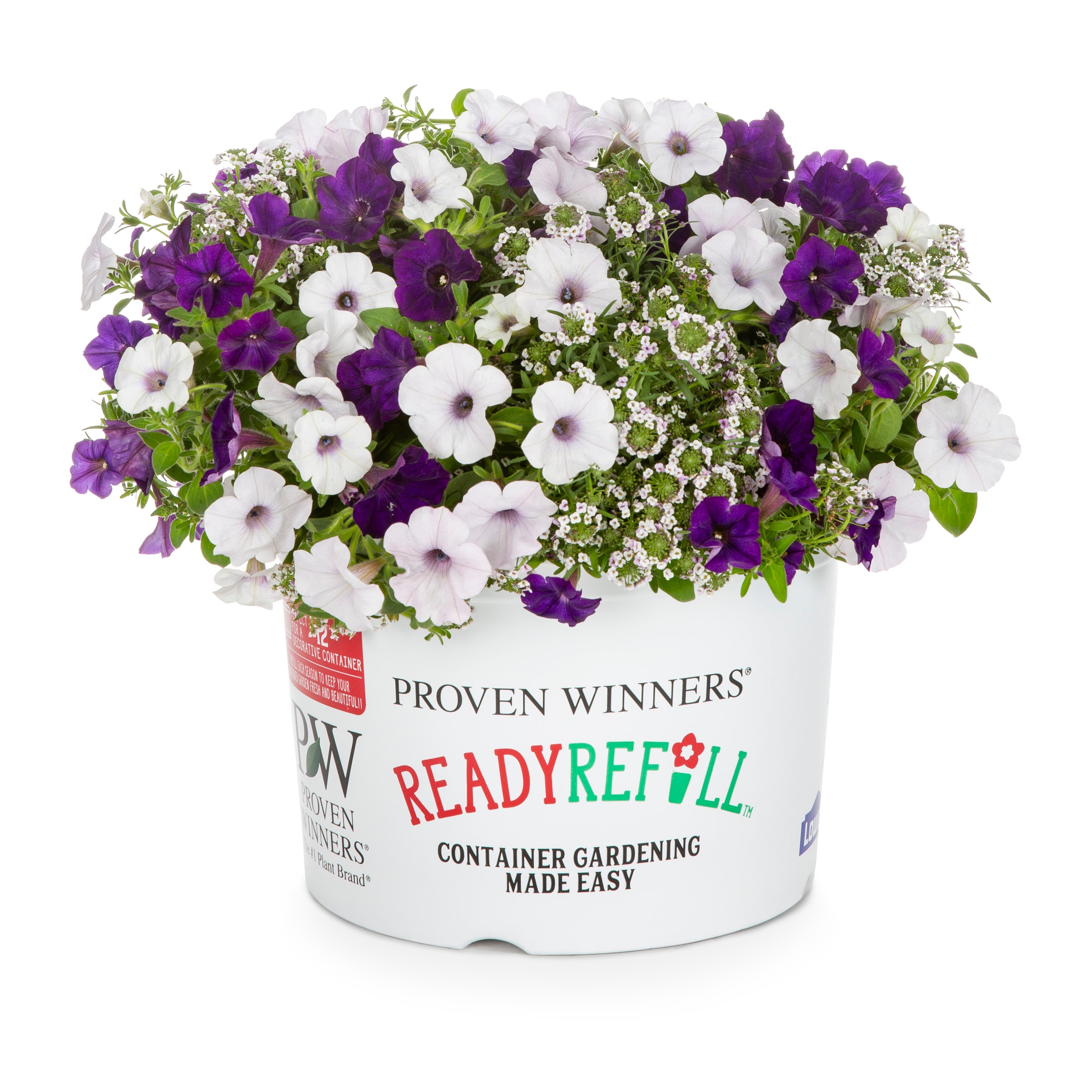 Ready Refill NURSERY Multicolor Velvet Skies Combo in 1.5 Gallon(s) Pot