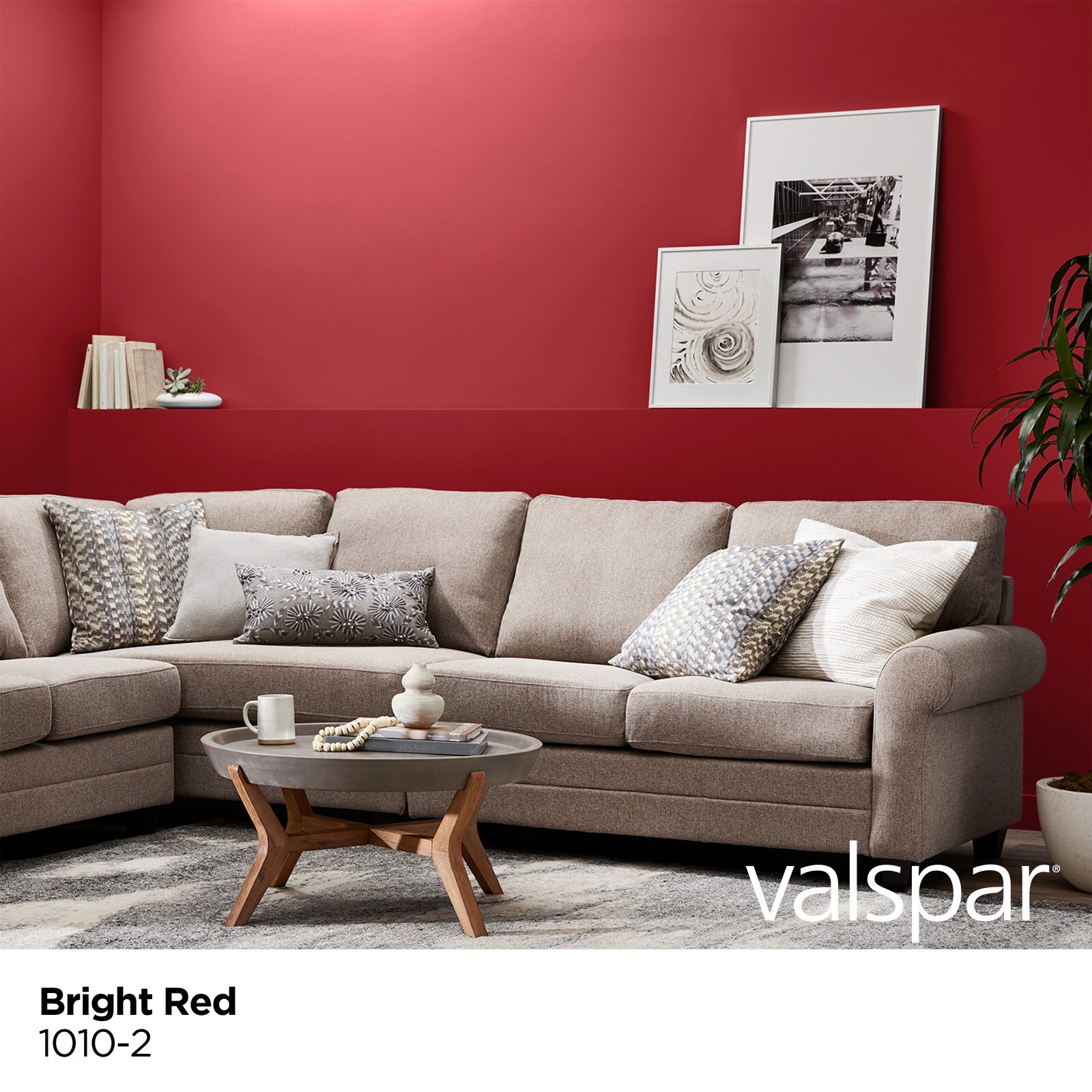 Valspar 1010-2-2916573 Int-Ext-Paint - View #2