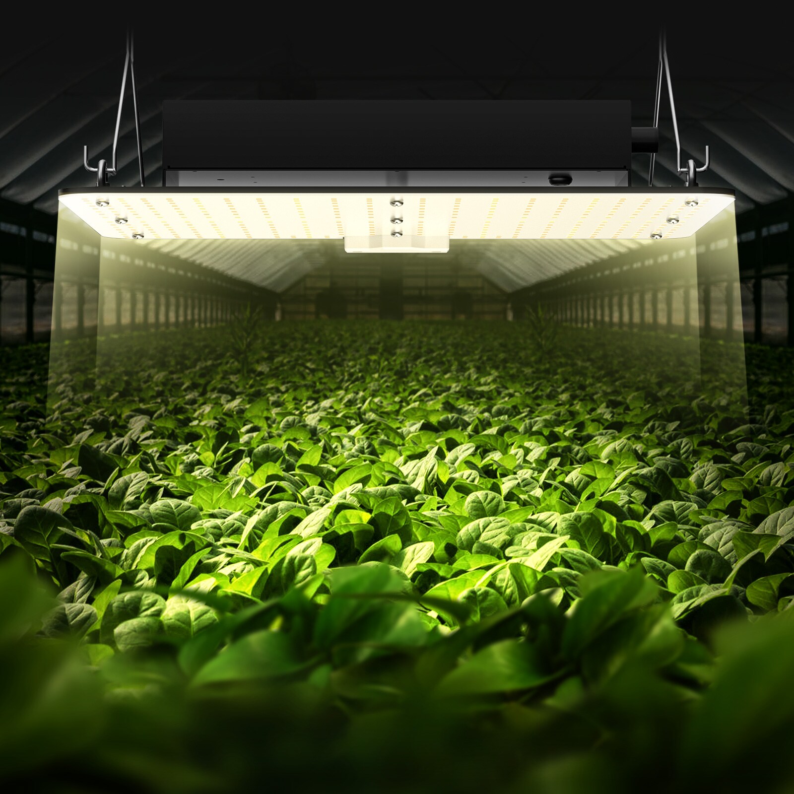 VEVOR LZB150W21110V2RS3V1 Grow-Lights - View #2