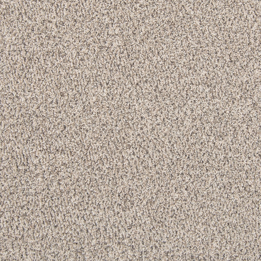 Style Selections Express Install Carolina Coast I Bay Waves Brown 25-oz sq yard Solution-dyed polyester Textured Indoor Carpet #SS015-12-L005