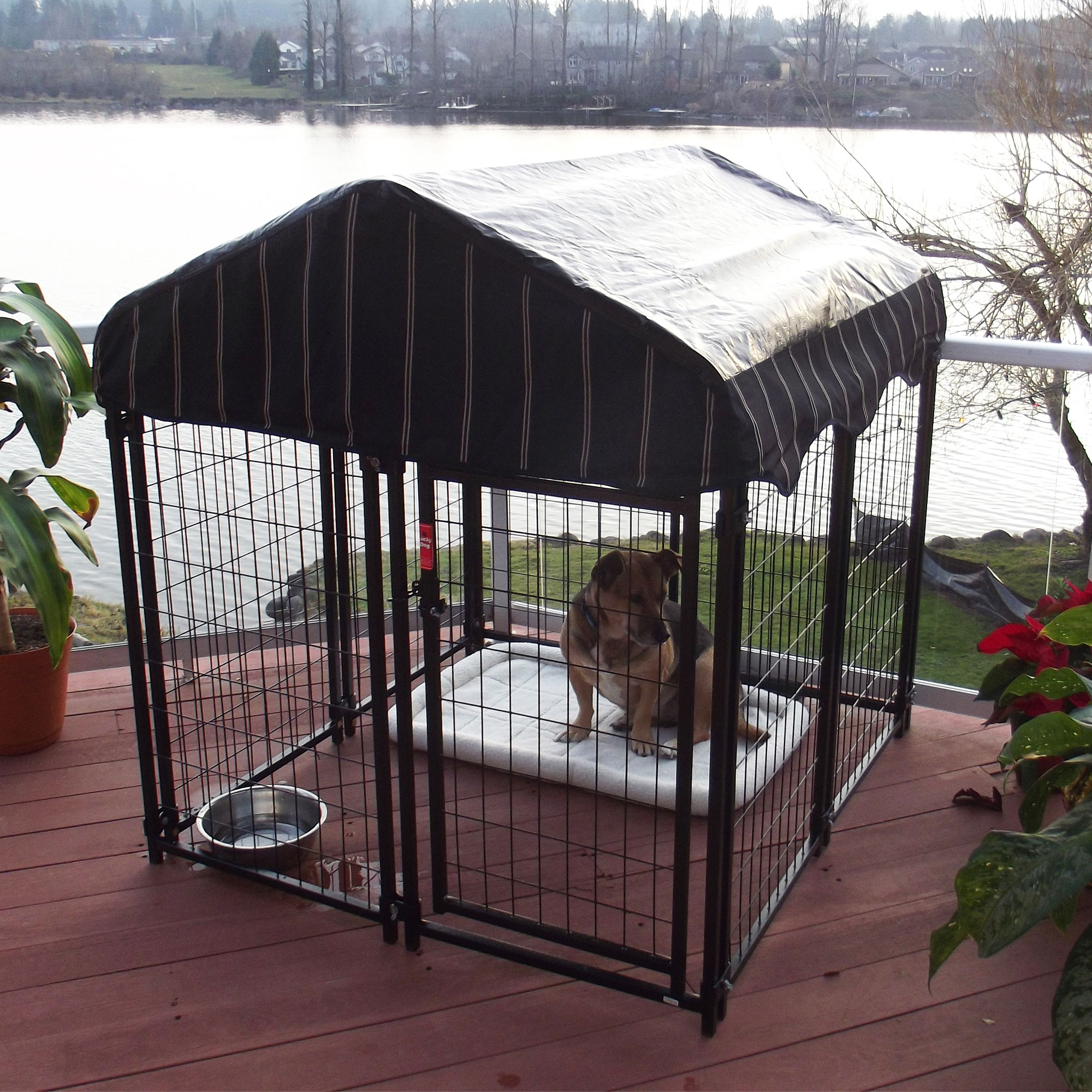 Lucky Dog 90332 Pet-Crates-Carriers - View #10