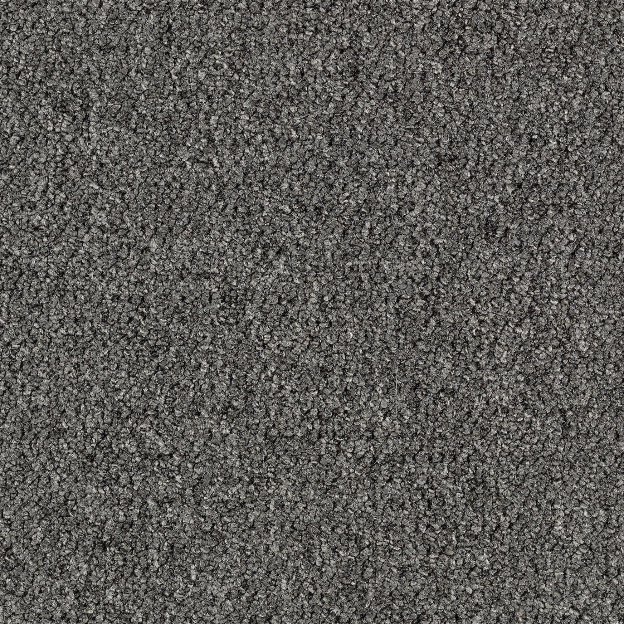  LC50-12-L001 Home and Office Scholastic 26 Witching Hour Gray 26-oz sq yard Nylon Textured Indoor Carpet