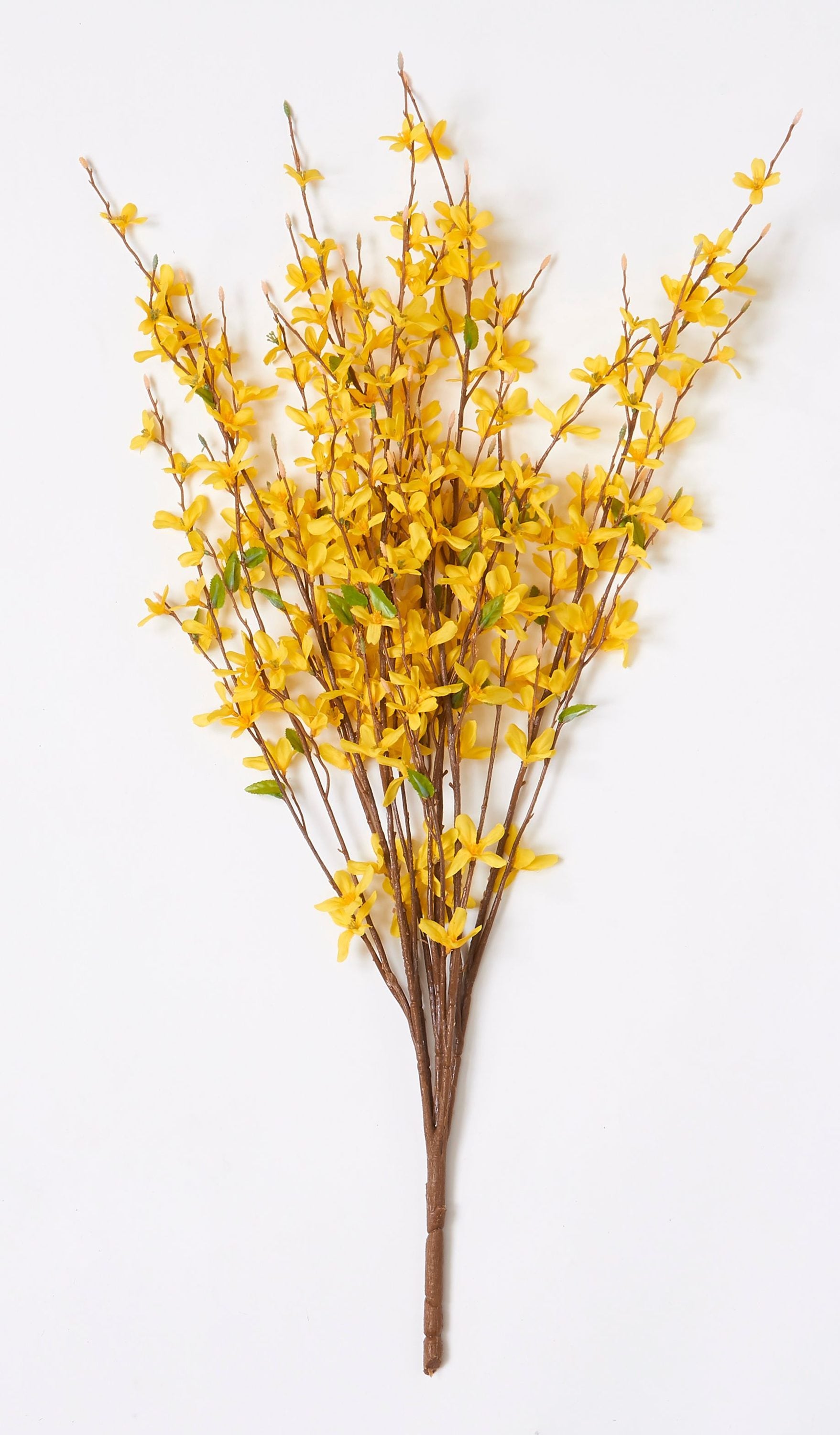 23 White Forsythia Wreath by Bloom Room