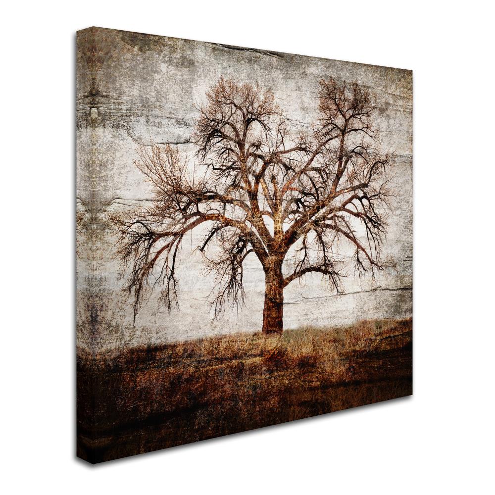 Trademark Fine Art ALI10421-C1818GG Wall-Art - View #2