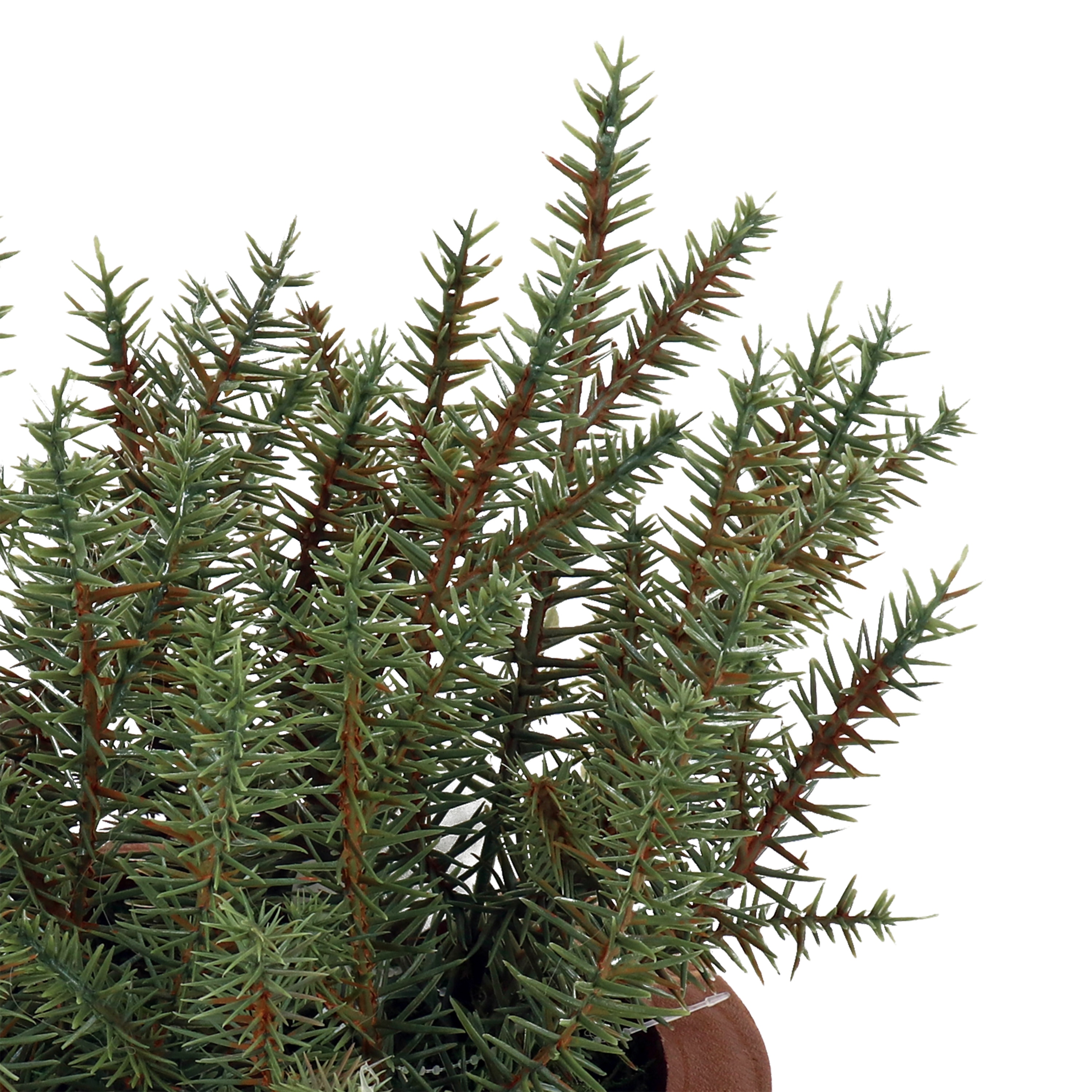 allen + roth 21LOW250 Artificial-Plants-Trees - View #8