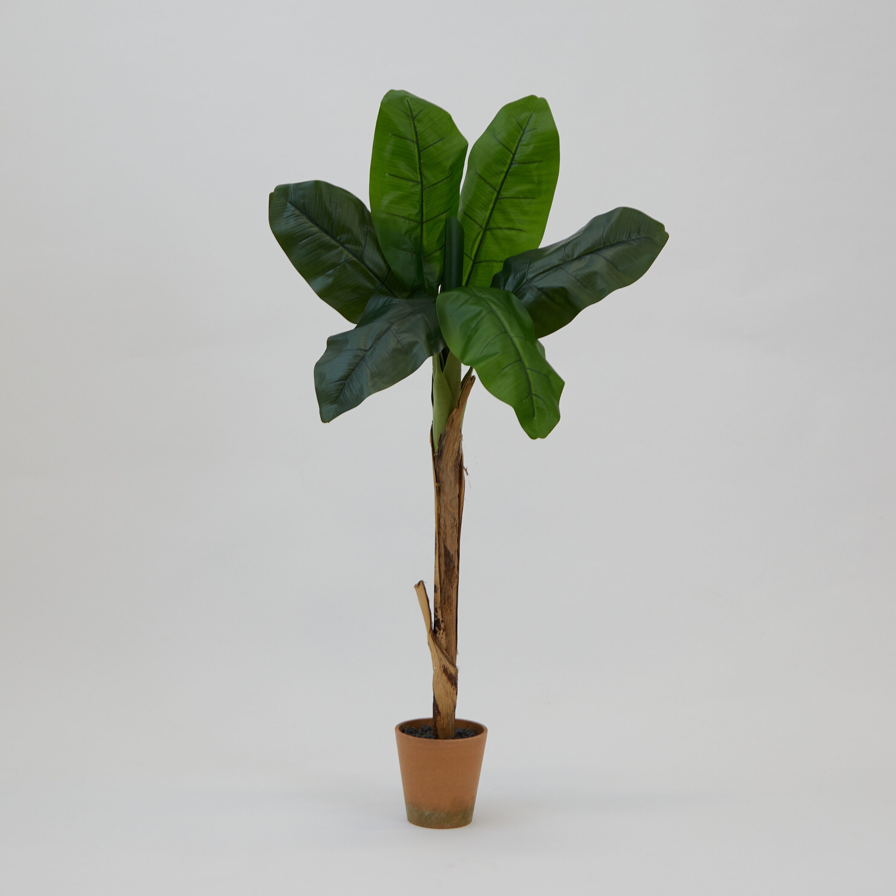 allen + roth T4423-MB Artificial-Plants-Trees - View #2