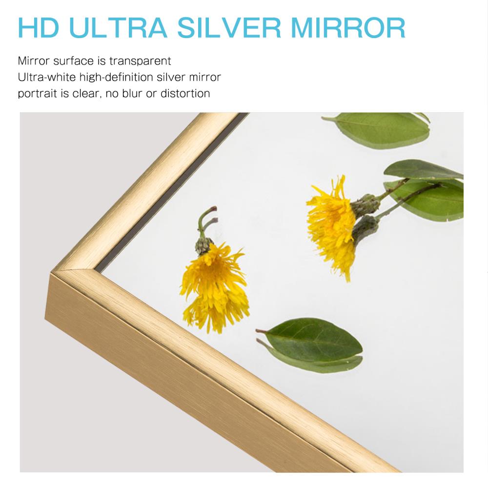 NeuType 16-in W x 55-in H Gold Framed Full Length Wall Mirror at