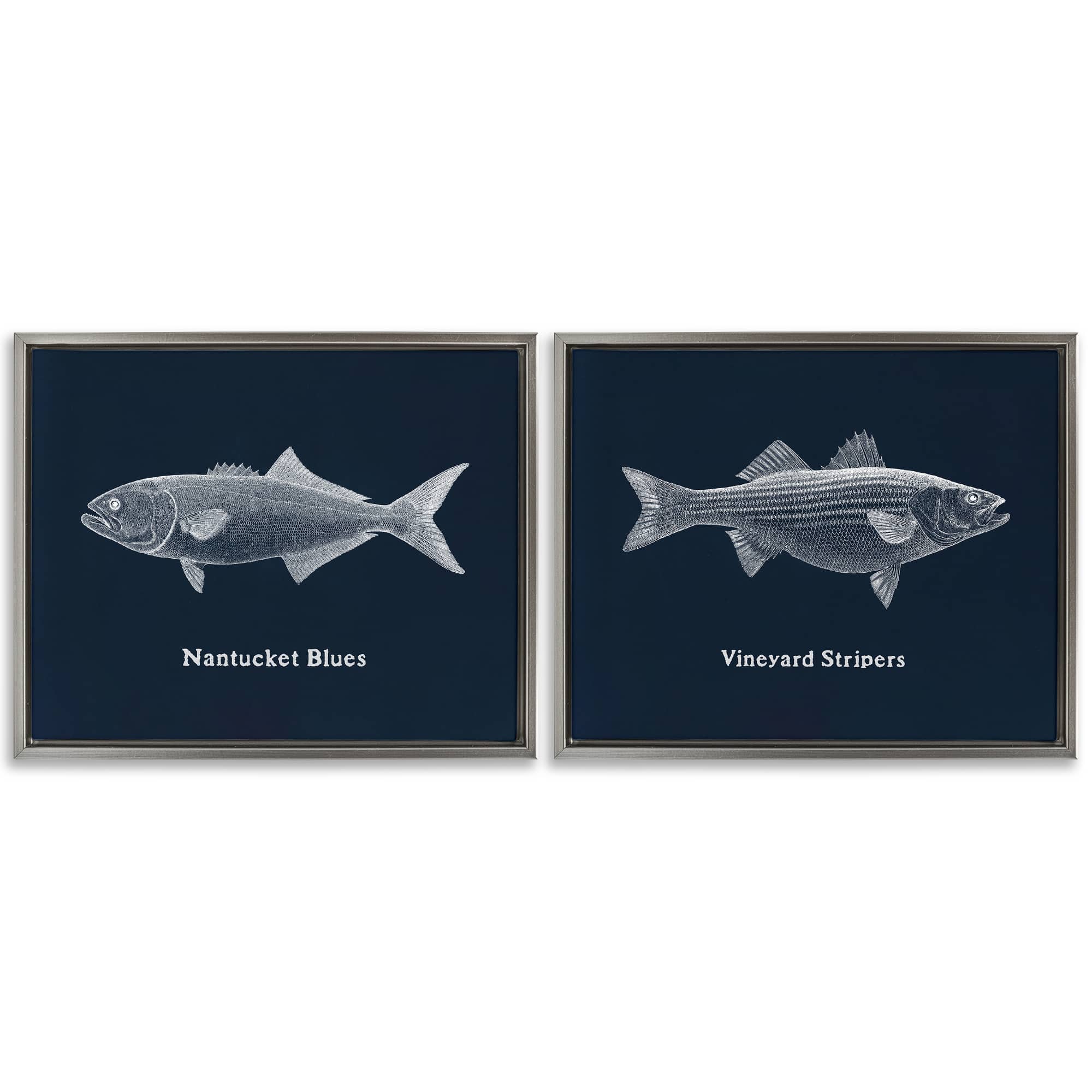 Stupell Industries B2-818-FFL-2PC-24X30 Harbor Fish Phrases 2 Piece Gray Framed Floater Canvas Set By Phillipa Katz 31 x 25