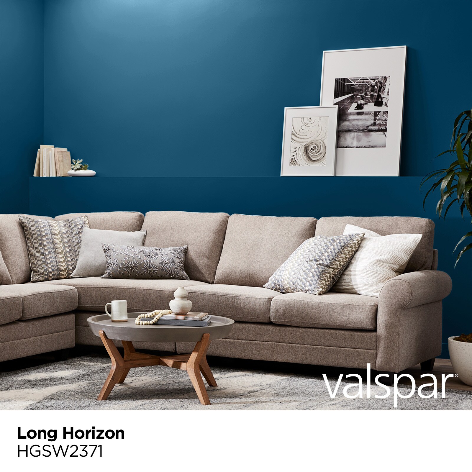 HGTV HOME by Sherwin-Williams HGSW2371 Paint-Samples - View #2