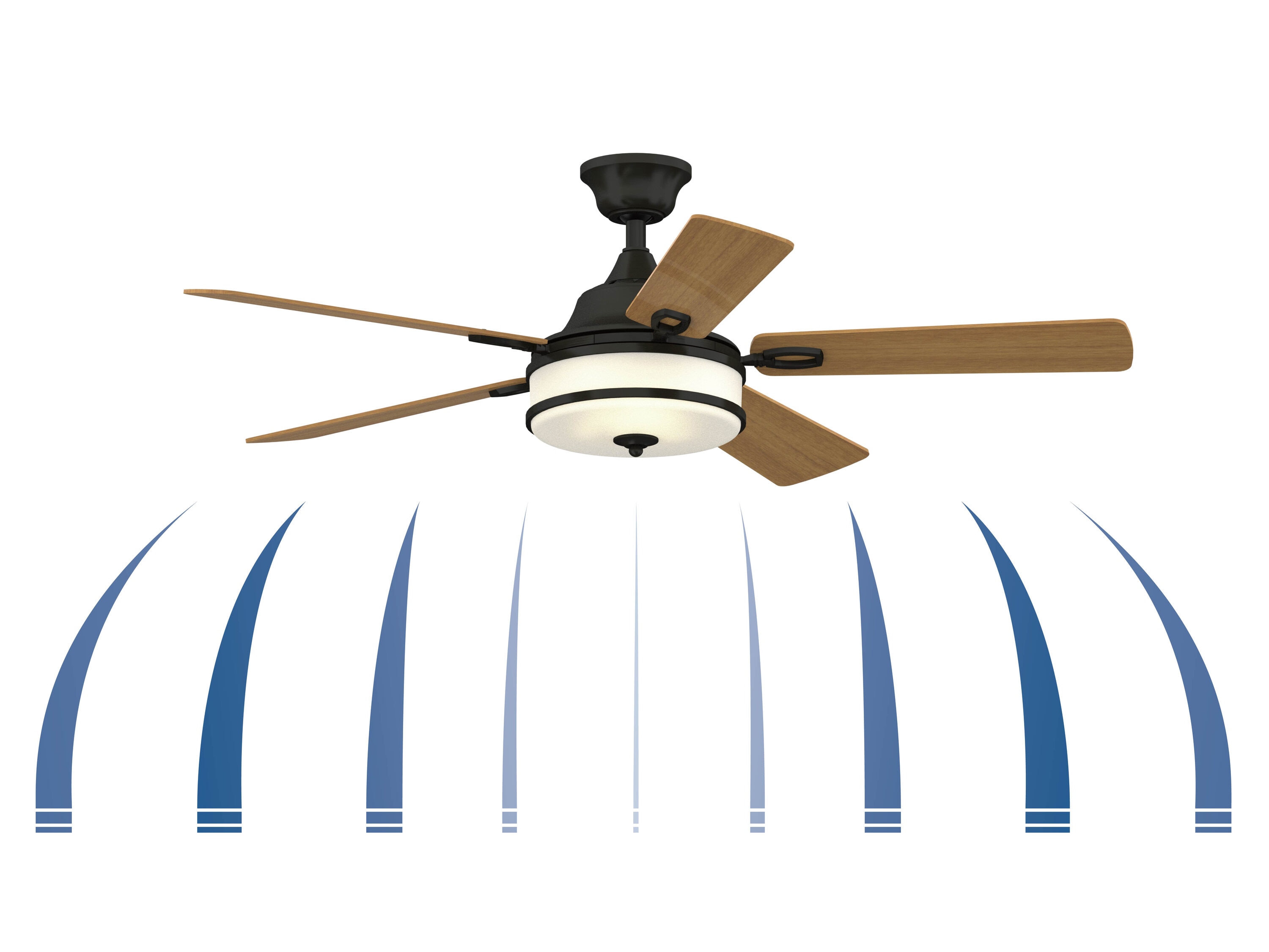 Fanimation FP8274DZ Ceiling-Fans - View #8