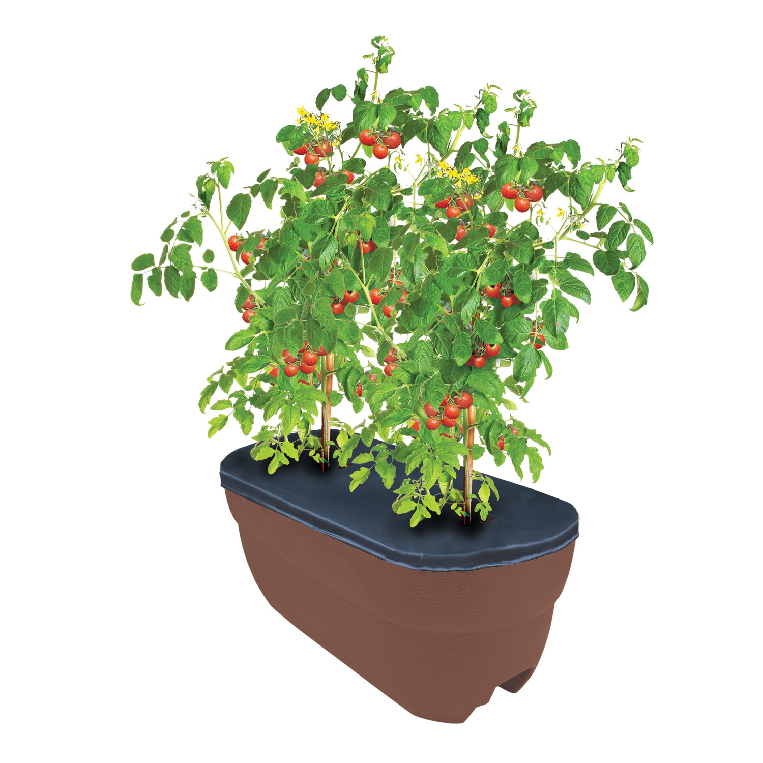 EMSCO GROUP 2435-1 Rectangle 9.5-in W Large Brown Resin Indoor/Outdoor Railing planter with Drainage Holes with Self Watering