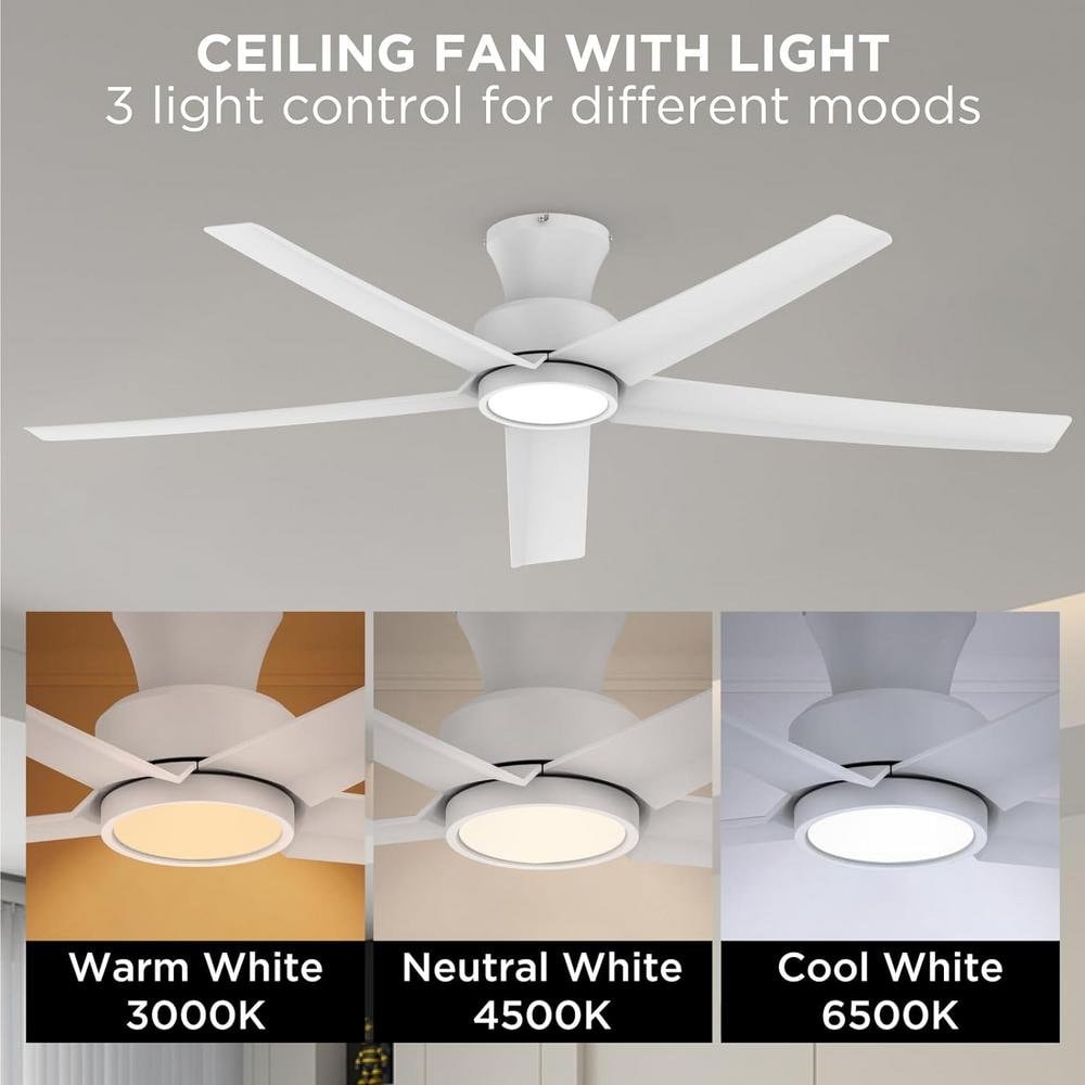 TALOYA OC52-WH-5X-W5 Ceiling-Fans - View #3