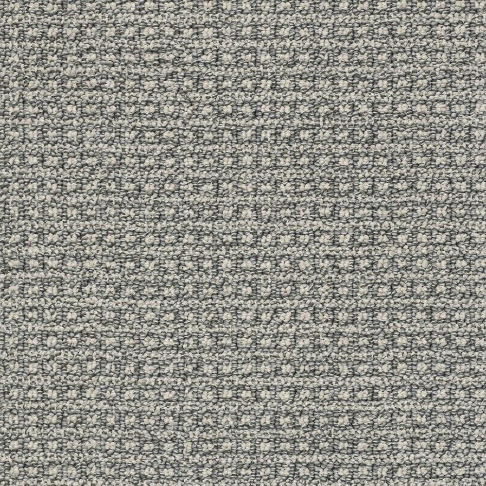 STAINMASTER 7L78500757 PetProtect Fetch Pepperdock Pattern Indoor Carpet