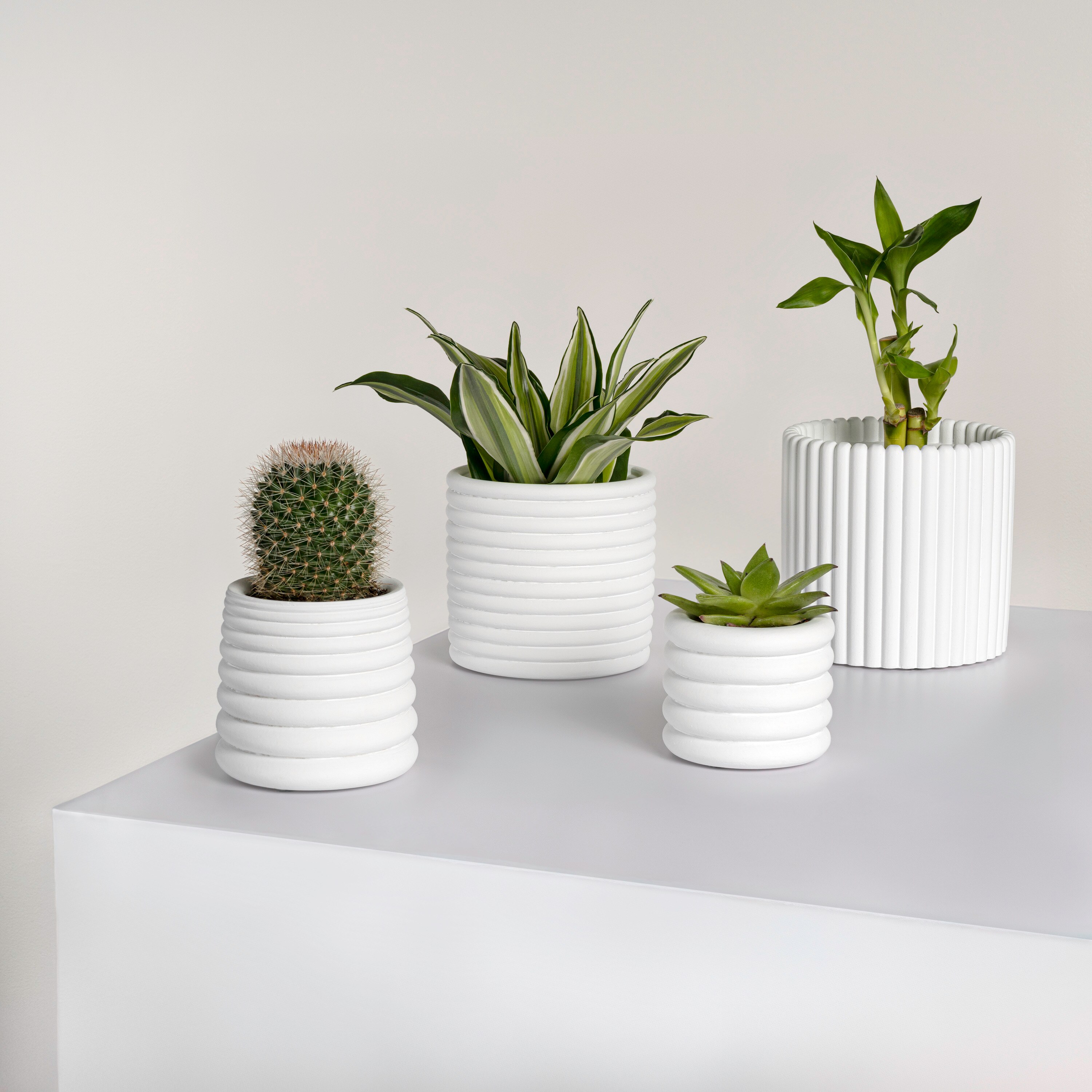 JONATHAN  Y PLN1000B-4SET Planter-Window-Box - View #5