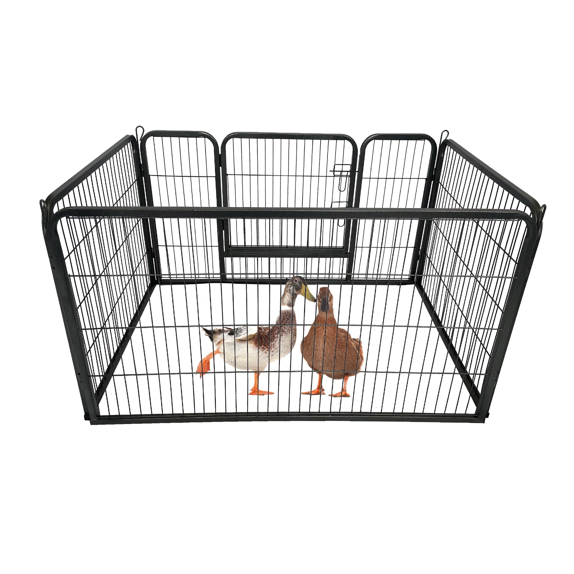 Maocao Hoom Medium (26- 40-lb) Wire Dog Kennel Indoor/Outdoor (3.93-ft ...