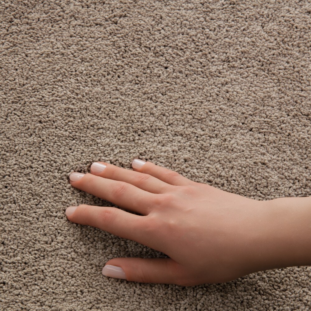 STAINMASTER PetProtect 7L970-700-SAMP Carpet-Samples - View #4