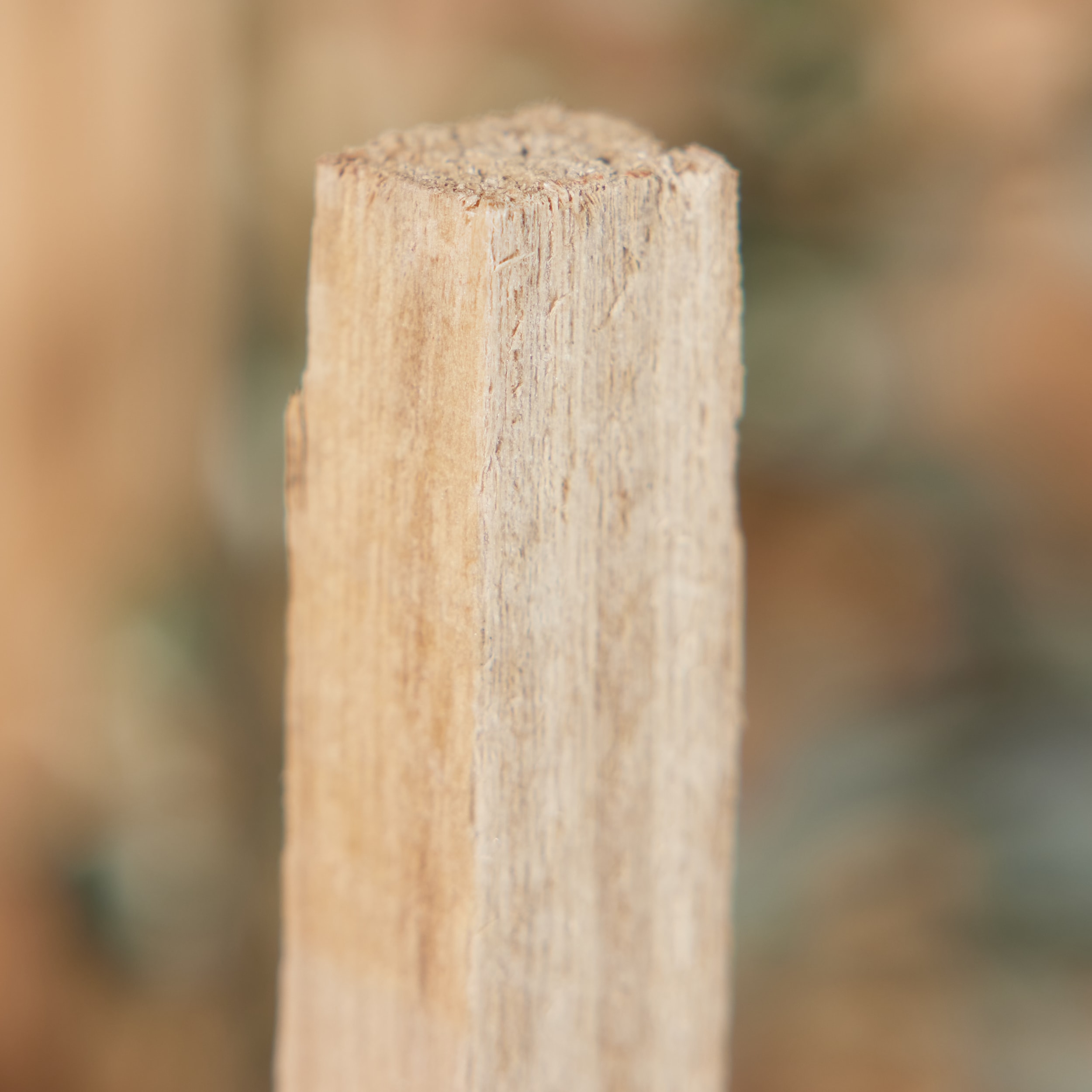 Gardener's Blue Ribbon WW6-12 Landscape-Stakes - View #2
